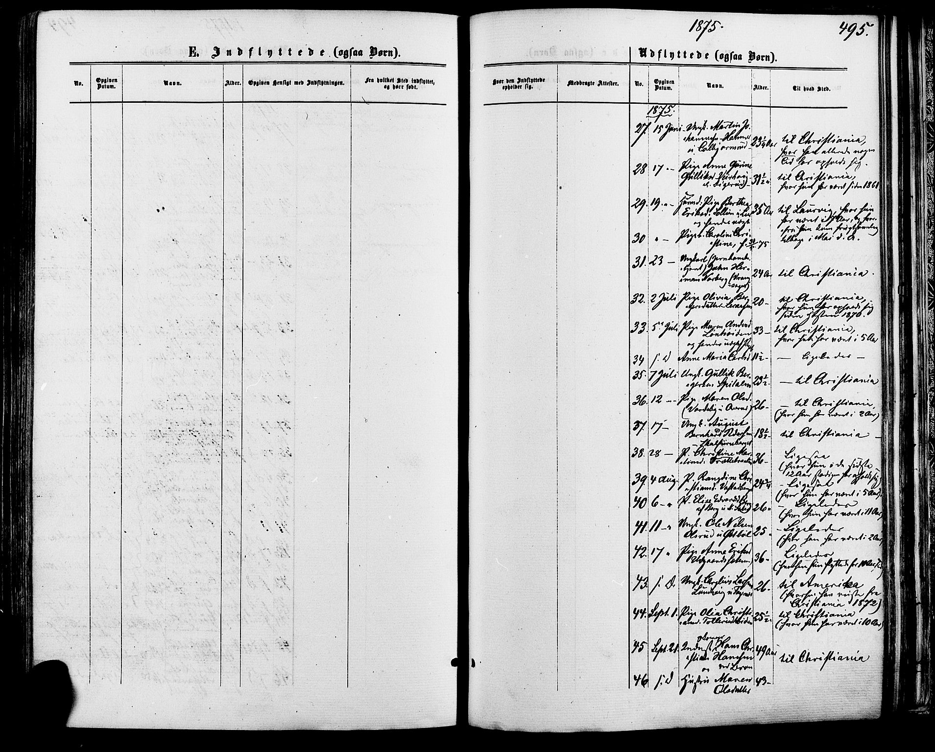 Vinger prestekontor, SAH/PREST-024/H/Ha/Haa/L0012: Parish register (official) no. 12, 1871-1880, p. 495