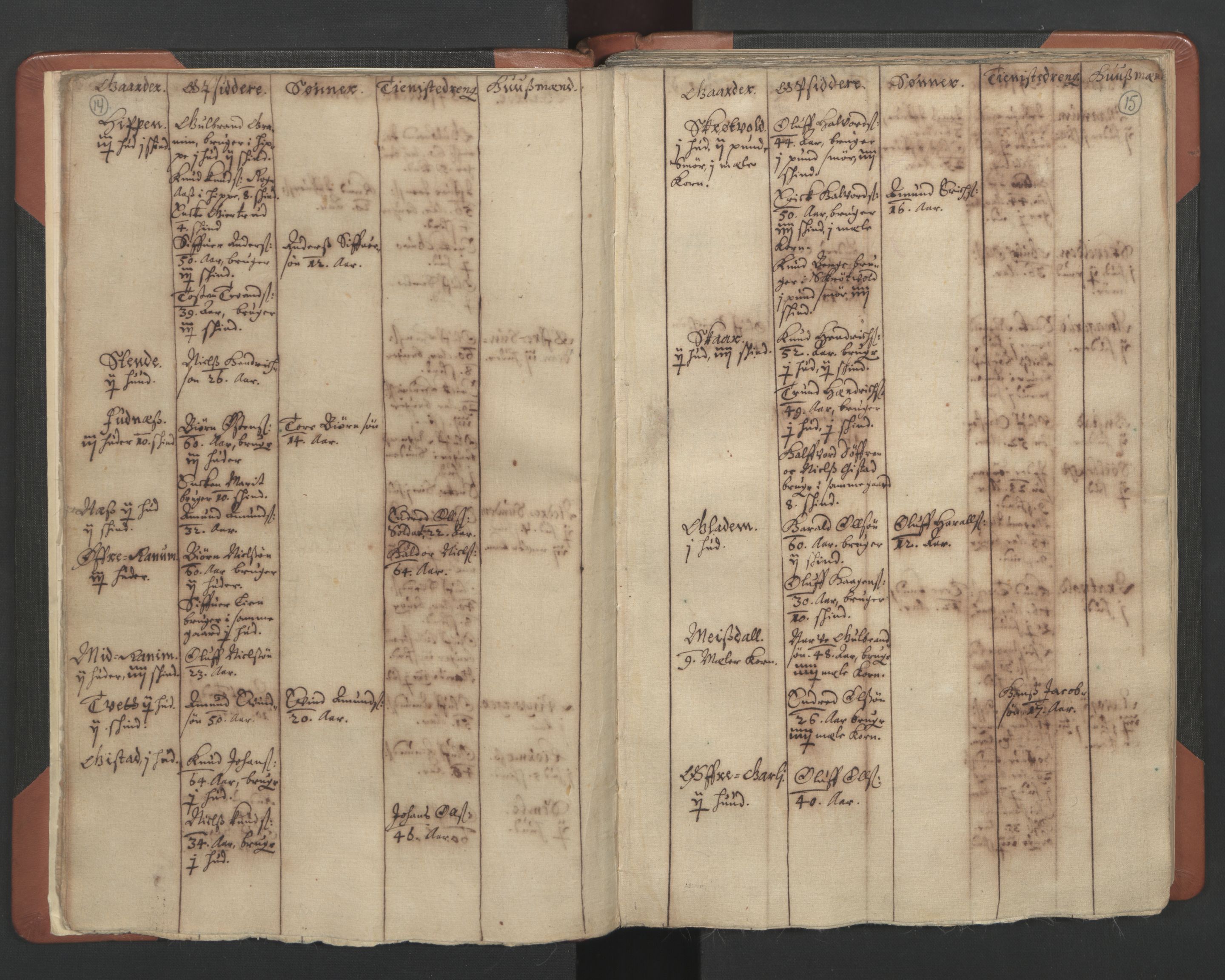 RA, Vicar's Census 1664-1666, no. 8: Valdres deanery, 1664-1666, p. 14-15