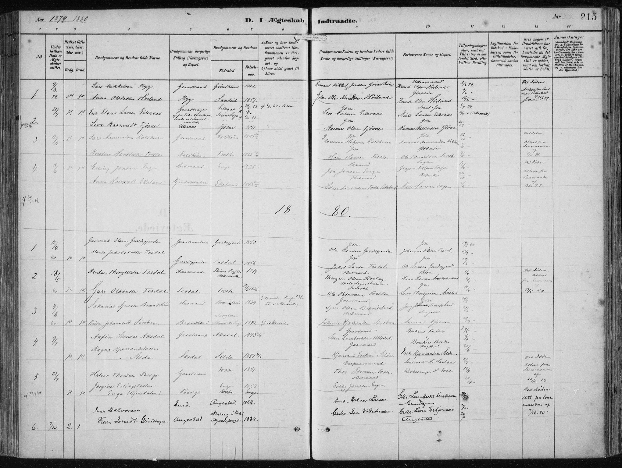 Etne sokneprestembete, SAB/A-75001/H/Haa: Parish register (official) no. B  1, 1879-1919, p. 215