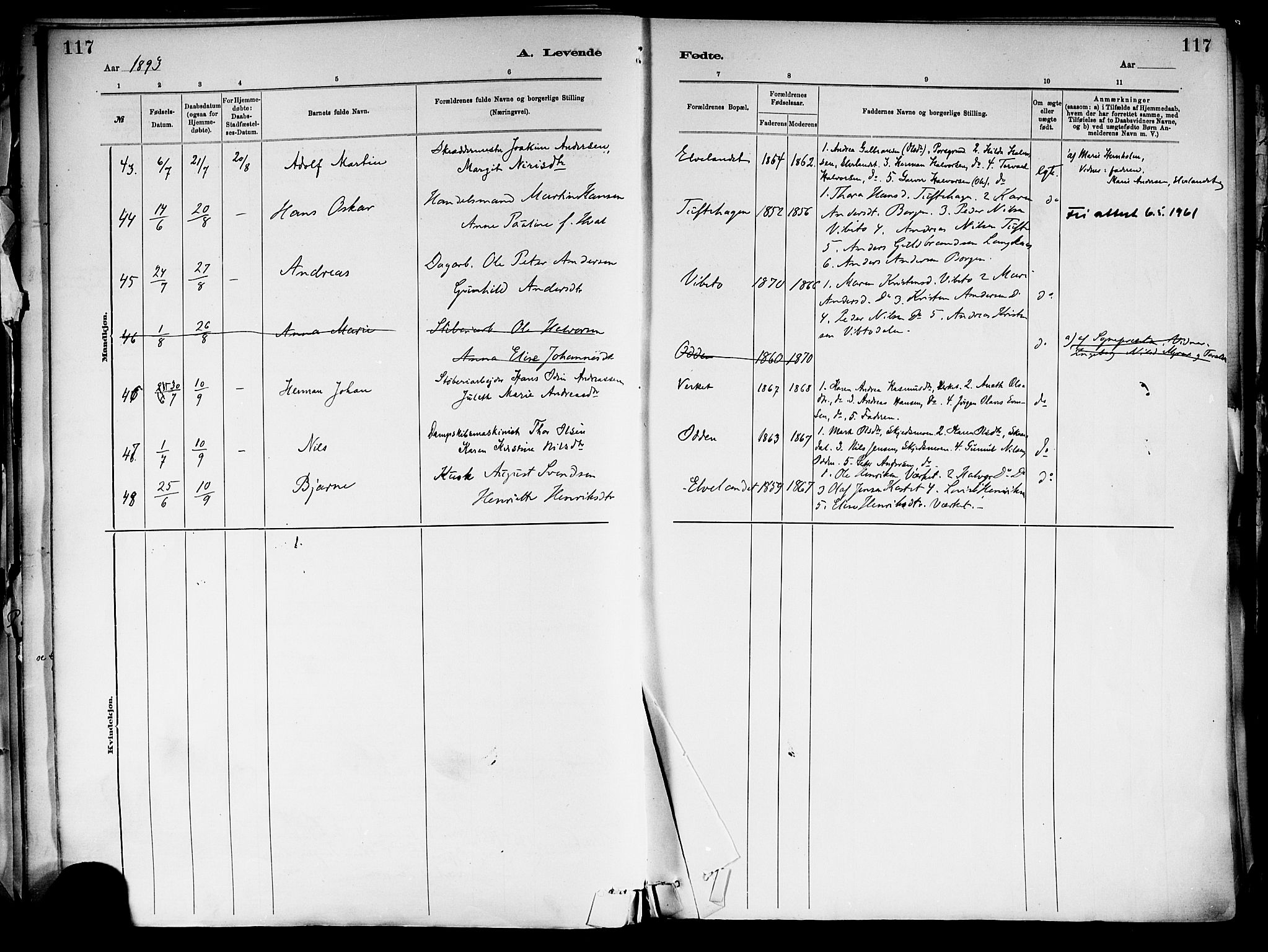 Holla kirkebøker, AV/SAKO-A-272/F/Fa/L0008: Parish register (official) no. 8, 1882-1897, p. 117