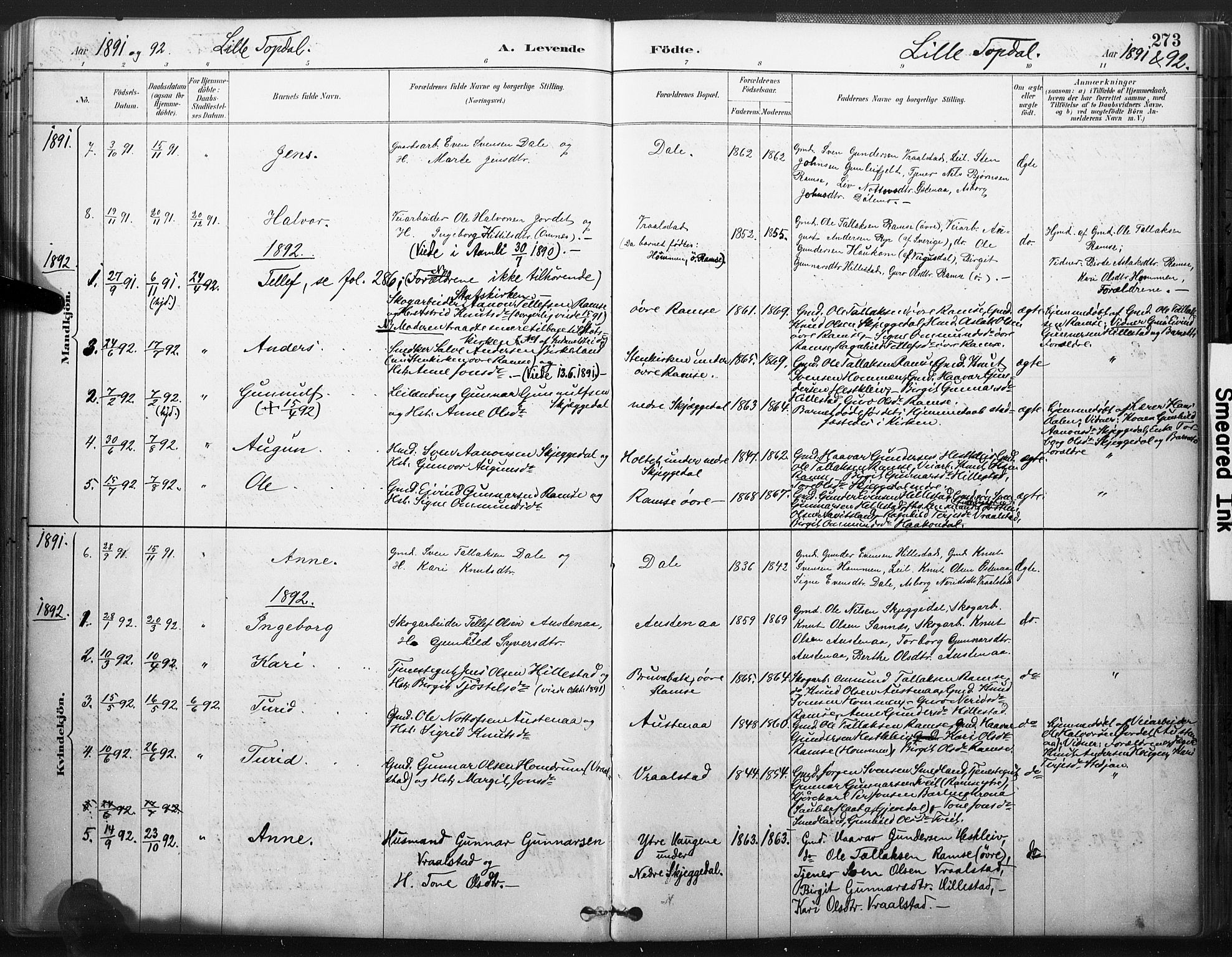 Åmli sokneprestkontor, SAK/1111-0050/F/Fa/Fac/L0010: Parish register (official) no. A 10 /3, 1885-1899, p. 273