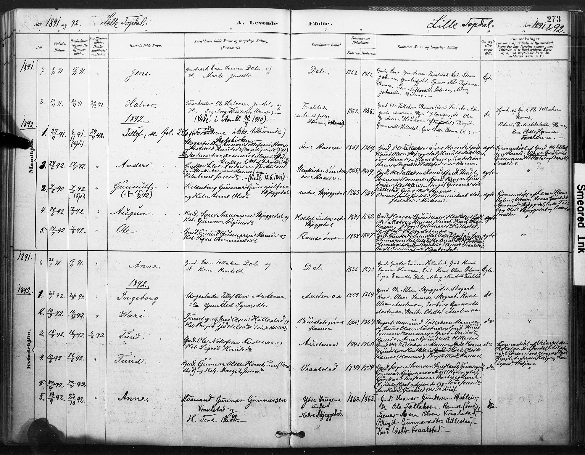 Åmli sokneprestkontor, AV/SAK-1111-0050/F/Fa/Fac/L0010: Parish register (official) no. A 10 /3, 1885-1899, p. 273