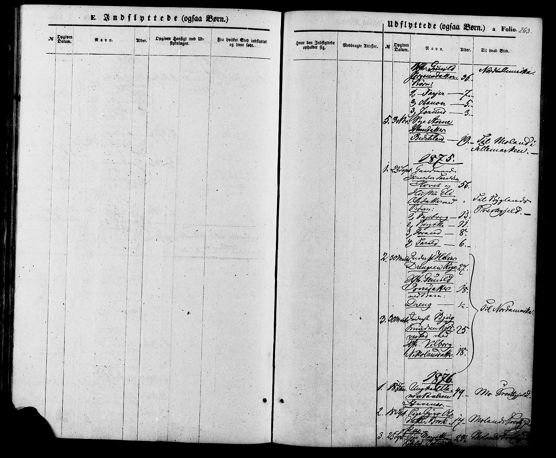 Valle sokneprestkontor, AV/SAK-1111-0044/F/Fa/Fac/L0008: Parish register (official) no. A 8, 1868-1882, p. 263