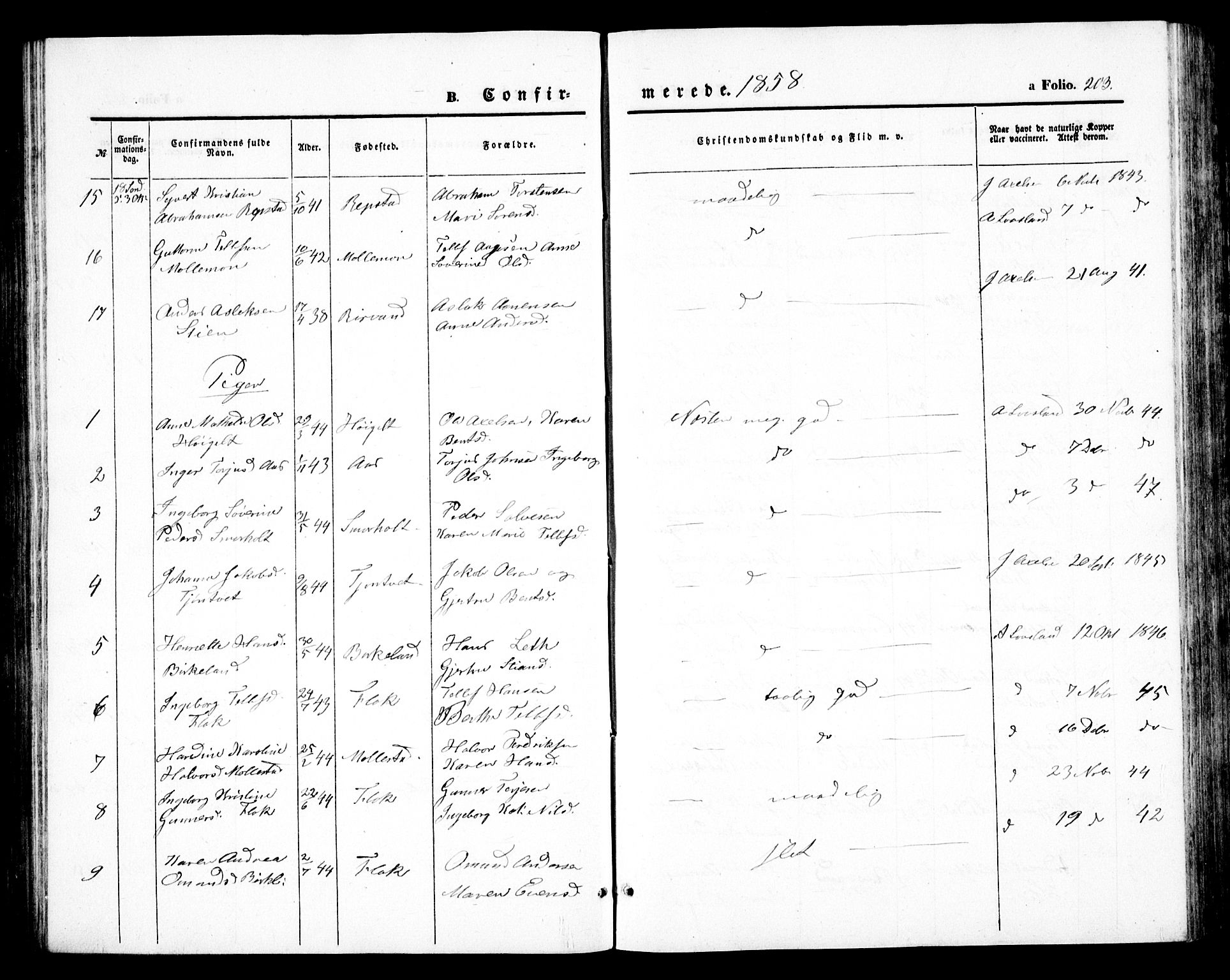Birkenes sokneprestkontor, SAK/1111-0004/F/Fb/L0002: Parish register (copy) no. B 2, 1849-1876, p. 203