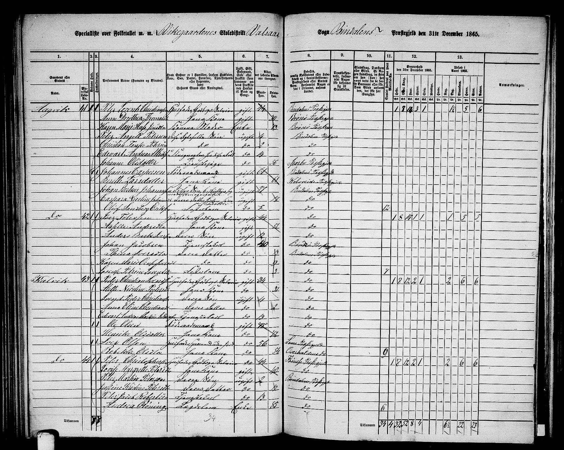 RA, 1865 census for Bindal, 1865, p. 80
