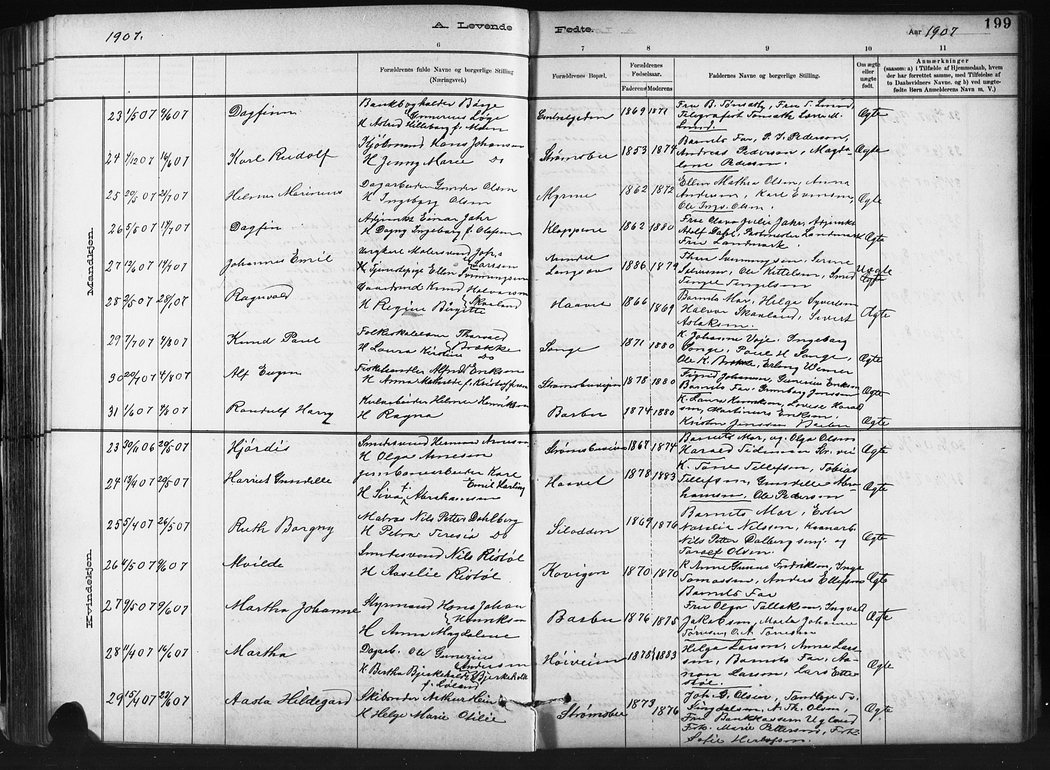 Barbu sokneprestkontor, AV/SAK-1111-0003/F/Fb/L0002: Parish register (copy) no. B 2, 1890-1922, p. 199