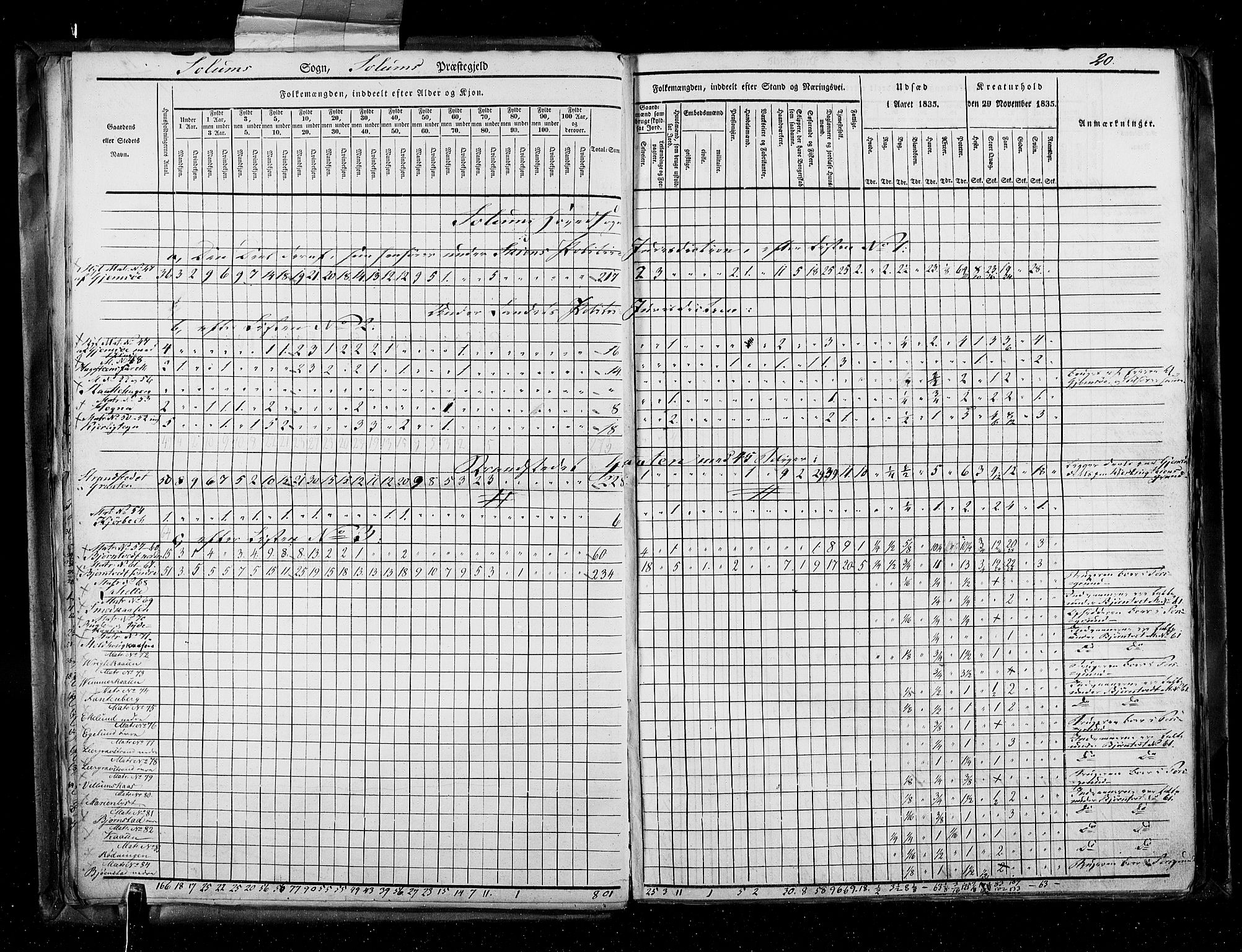 RA, Census 1835, vol. 5: Bratsberg amt og Nedenes og Råbyggelaget amt, 1835, p. 20