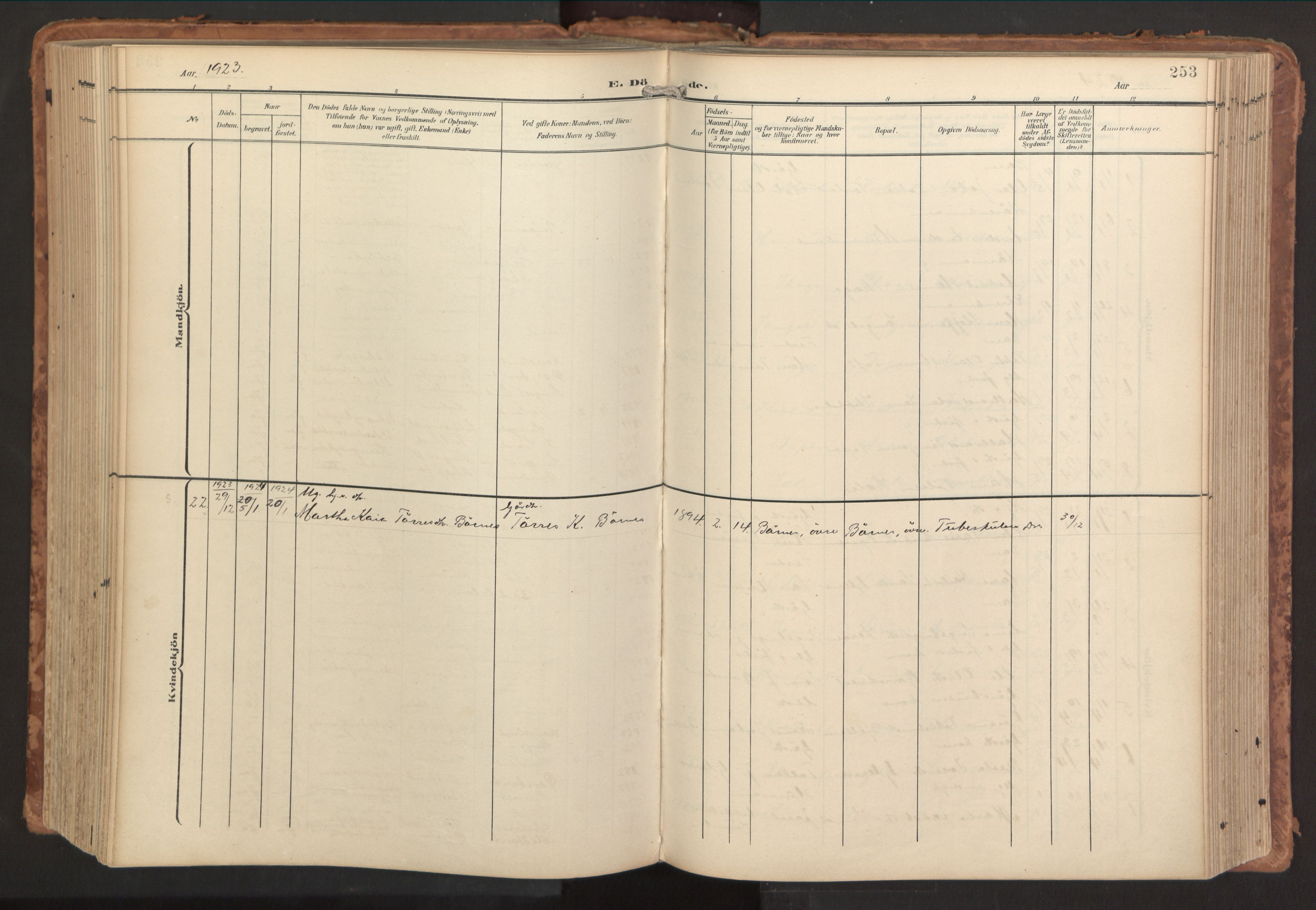 Sund sokneprestembete, AV/SAB-A-99930: Parish register (official) no. B 2, 1907-1926, p. 253