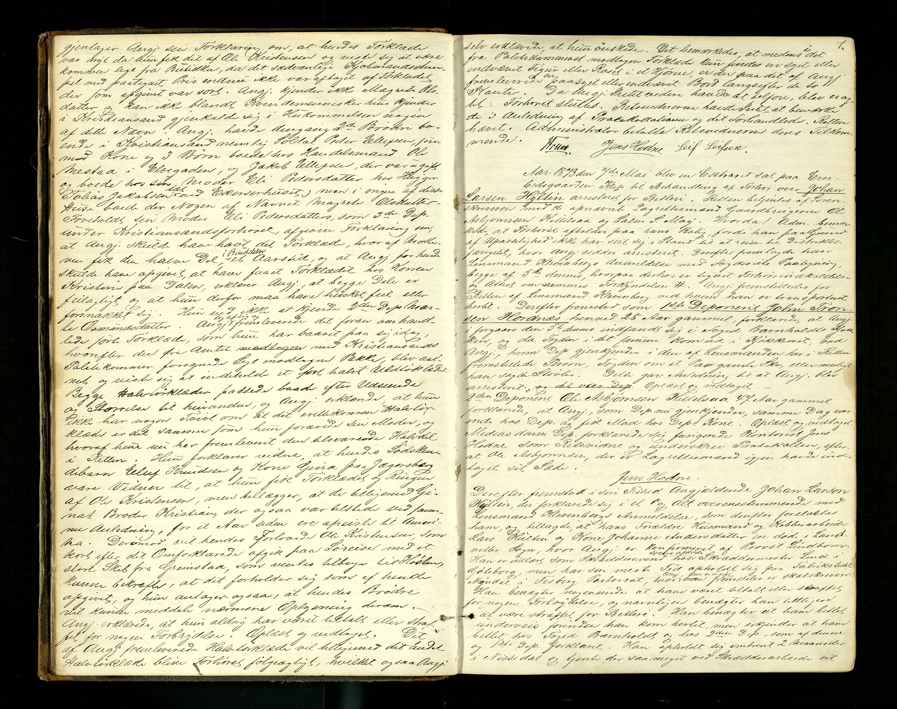Setesdal sorenskriveri, SAK/1221-0011/F/Fb/L0008: Ekstrarettsprotokoll nr 8, 1873-1876, p. 7