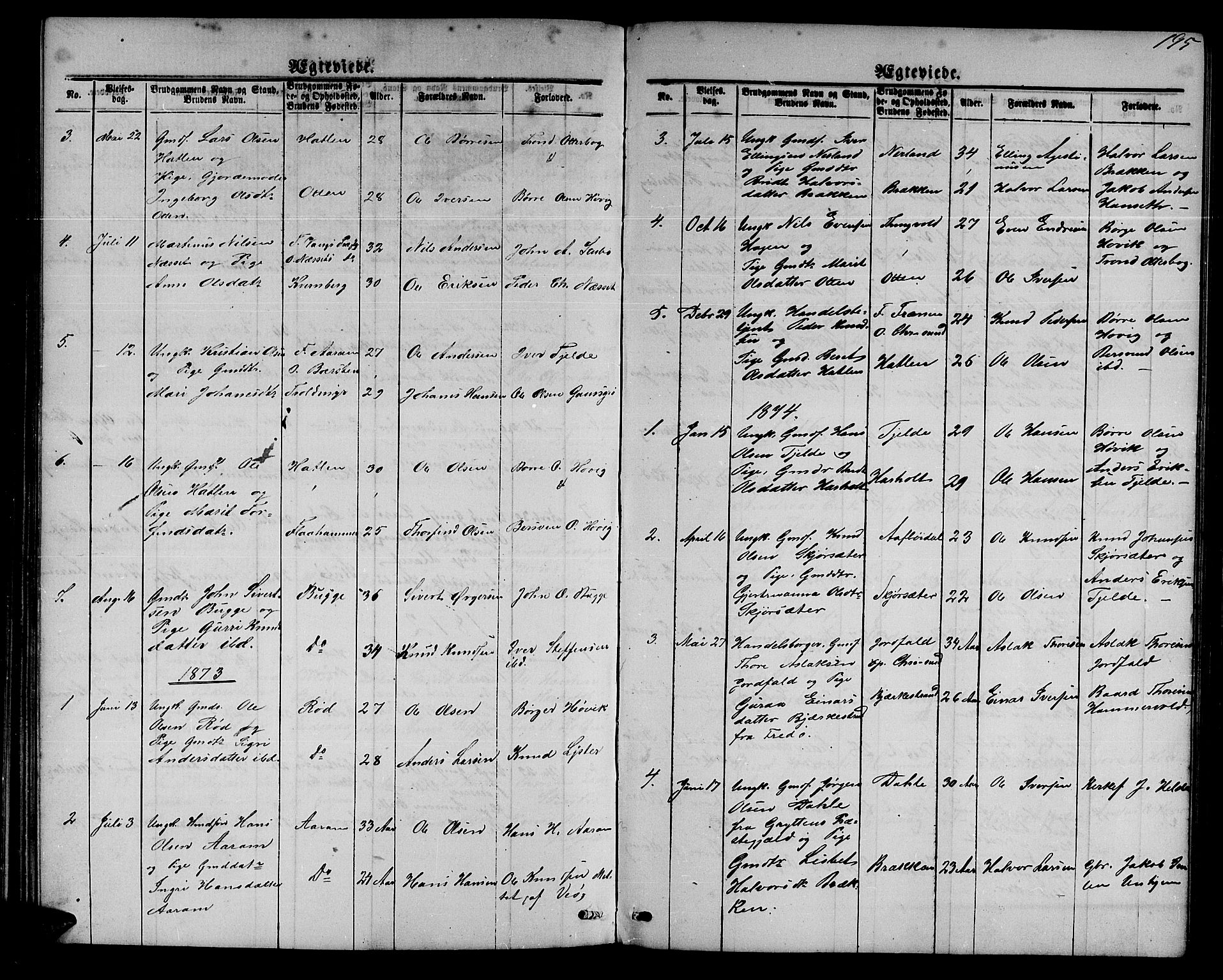 Ministerialprotokoller, klokkerbøker og fødselsregistre - Møre og Romsdal, SAT/A-1454/551/L0630: Parish register (copy) no. 551C02, 1867-1885, p. 195