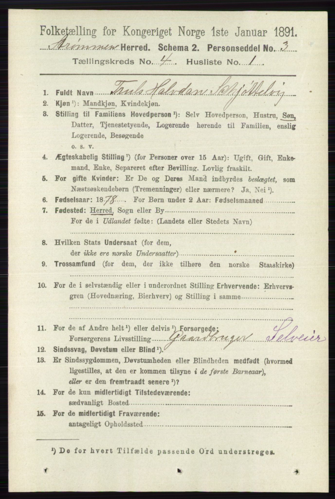 RA, 1891 census for 0711 Strømm, 1891, p. 1583