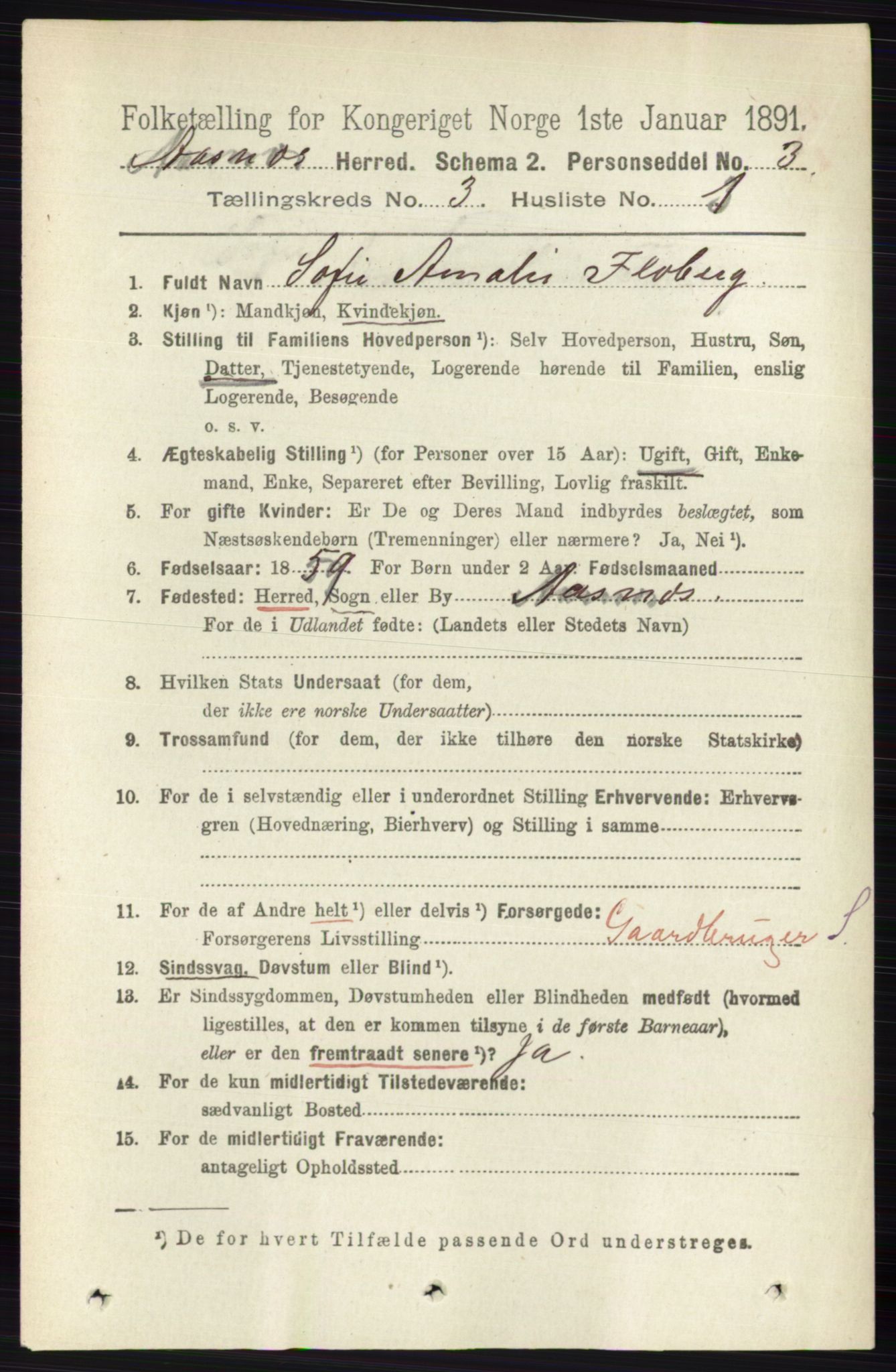 RA, 1891 census for 0425 Åsnes, 1891, p. 1029