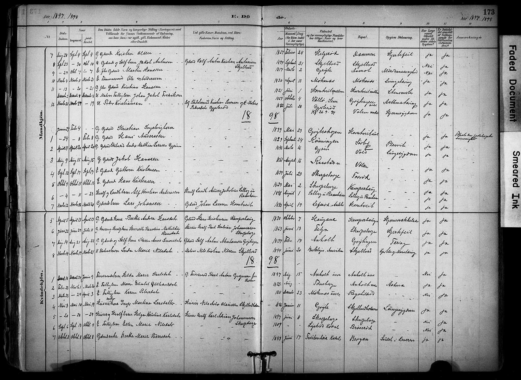 Stokke kirkebøker, AV/SAKO-A-320/F/Fb/L0001: Parish register (official) no. II 1, 1884-1910, p. 173