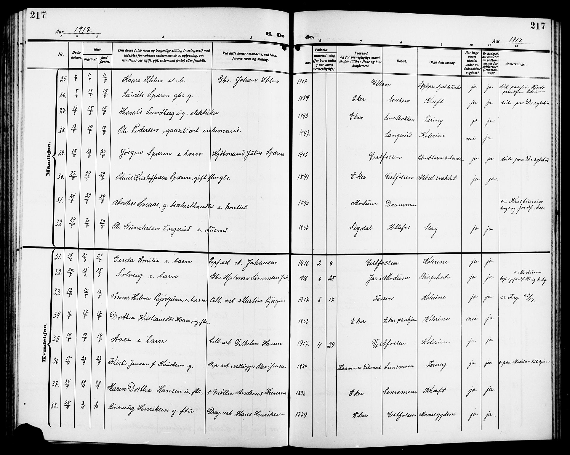 Eiker kirkebøker, AV/SAKO-A-4/G/Ga/L0009: Parish register (copy) no. I 9, 1915-1924, p. 217