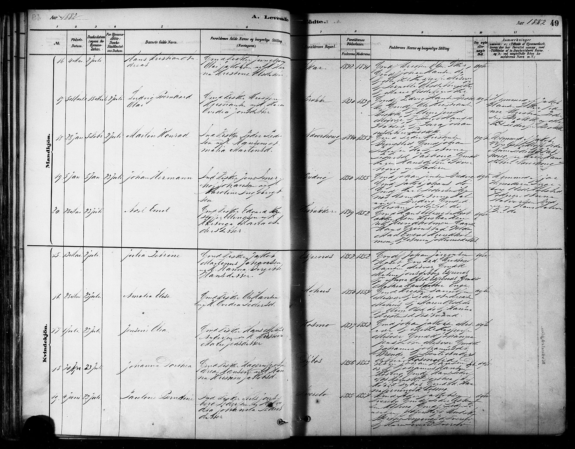 Ministerialprotokoller, klokkerbøker og fødselsregistre - Nordland, AV/SAT-A-1459/852/L0740: Parish register (official) no. 852A10, 1878-1894, p. 49