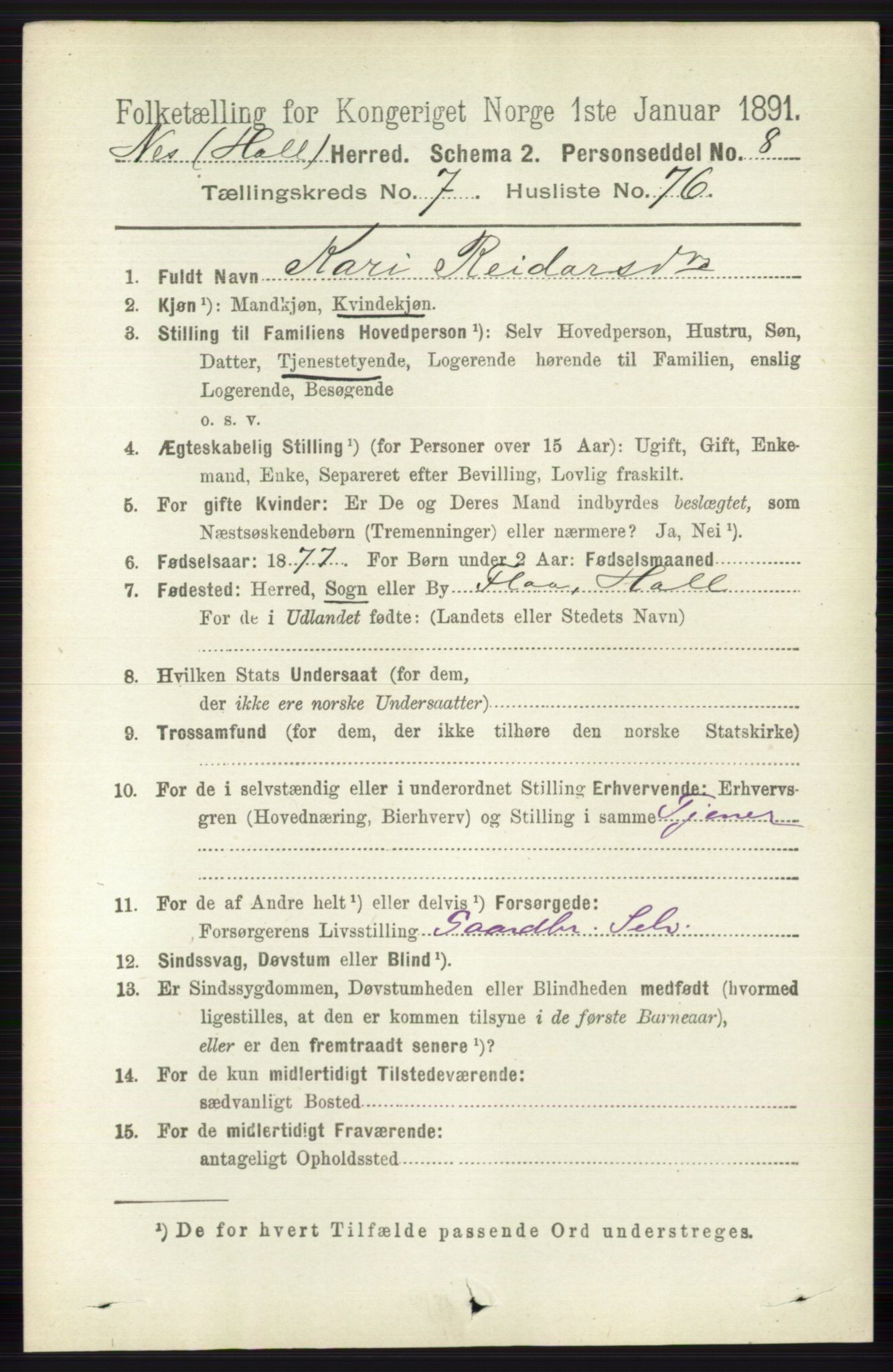 RA, 1891 census for 0616 Nes, 1891, p. 4041