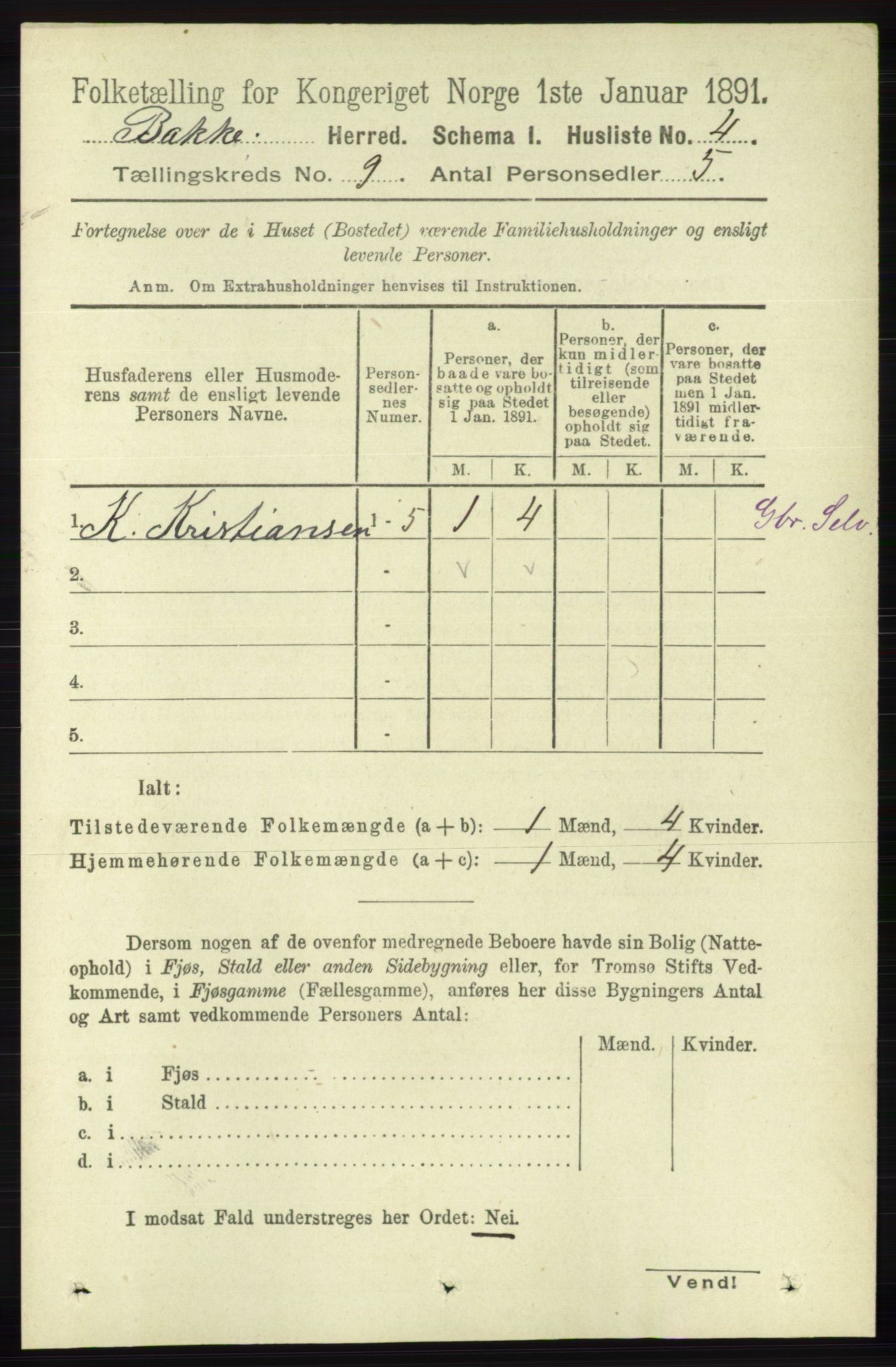 RA, 1891 census for 1045 Bakke, 1891, p. 1717