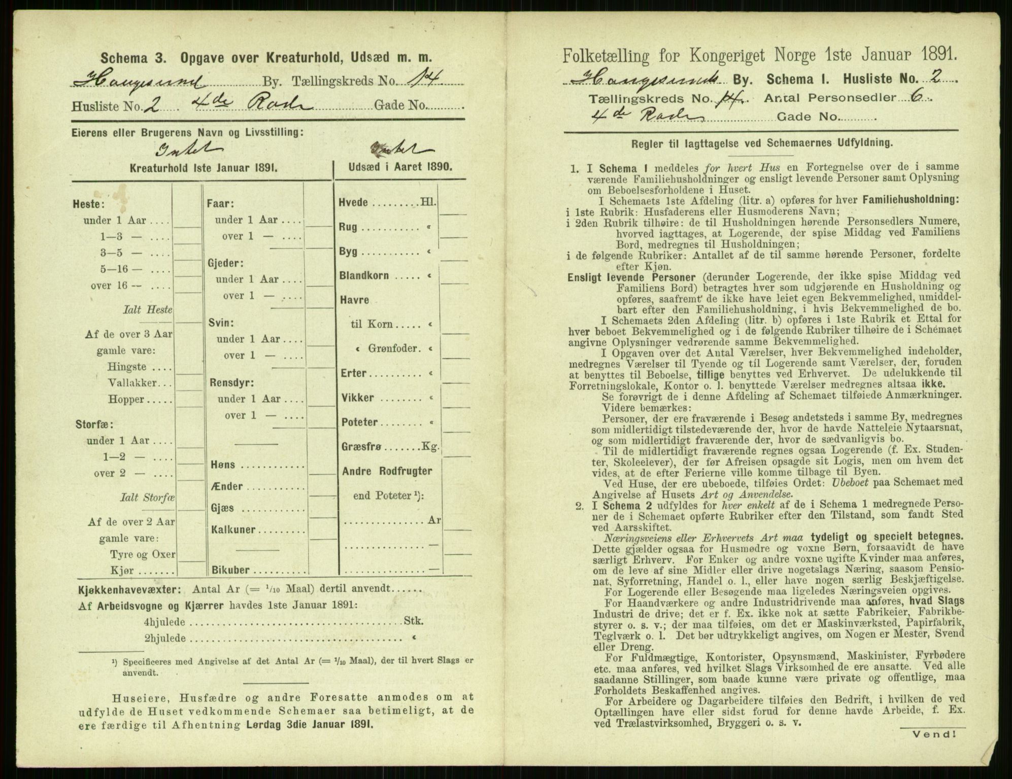 RA, 1891 census for 1106 Haugesund, 1891, p. 910