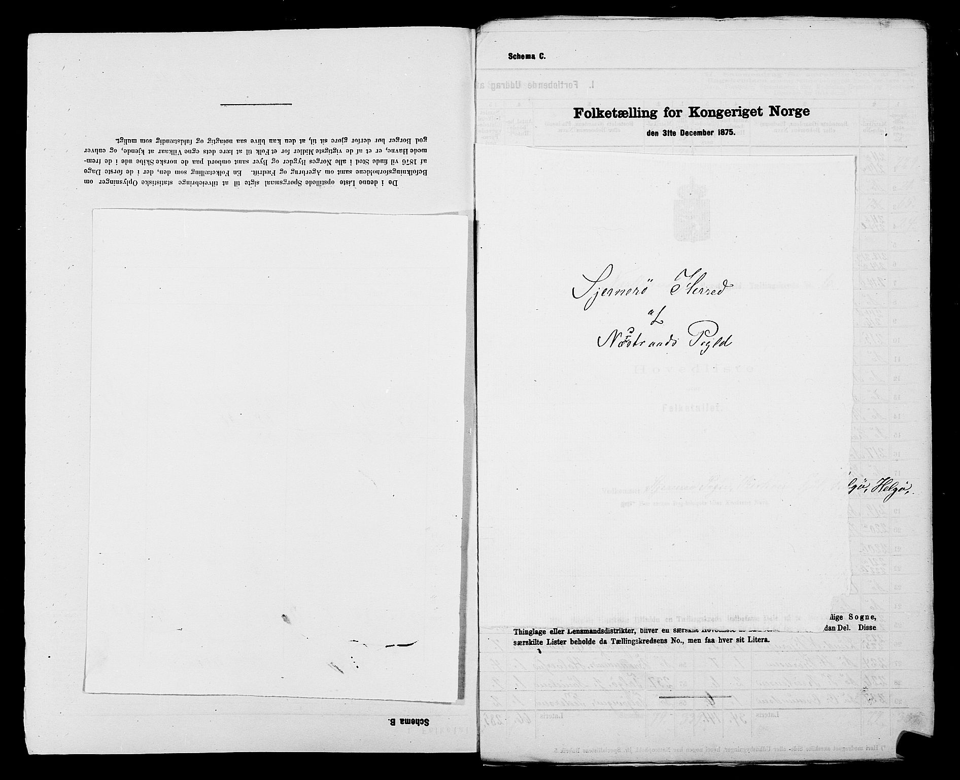 SAST, 1875 census for 1139P Nedstrand, 1875, p. 29