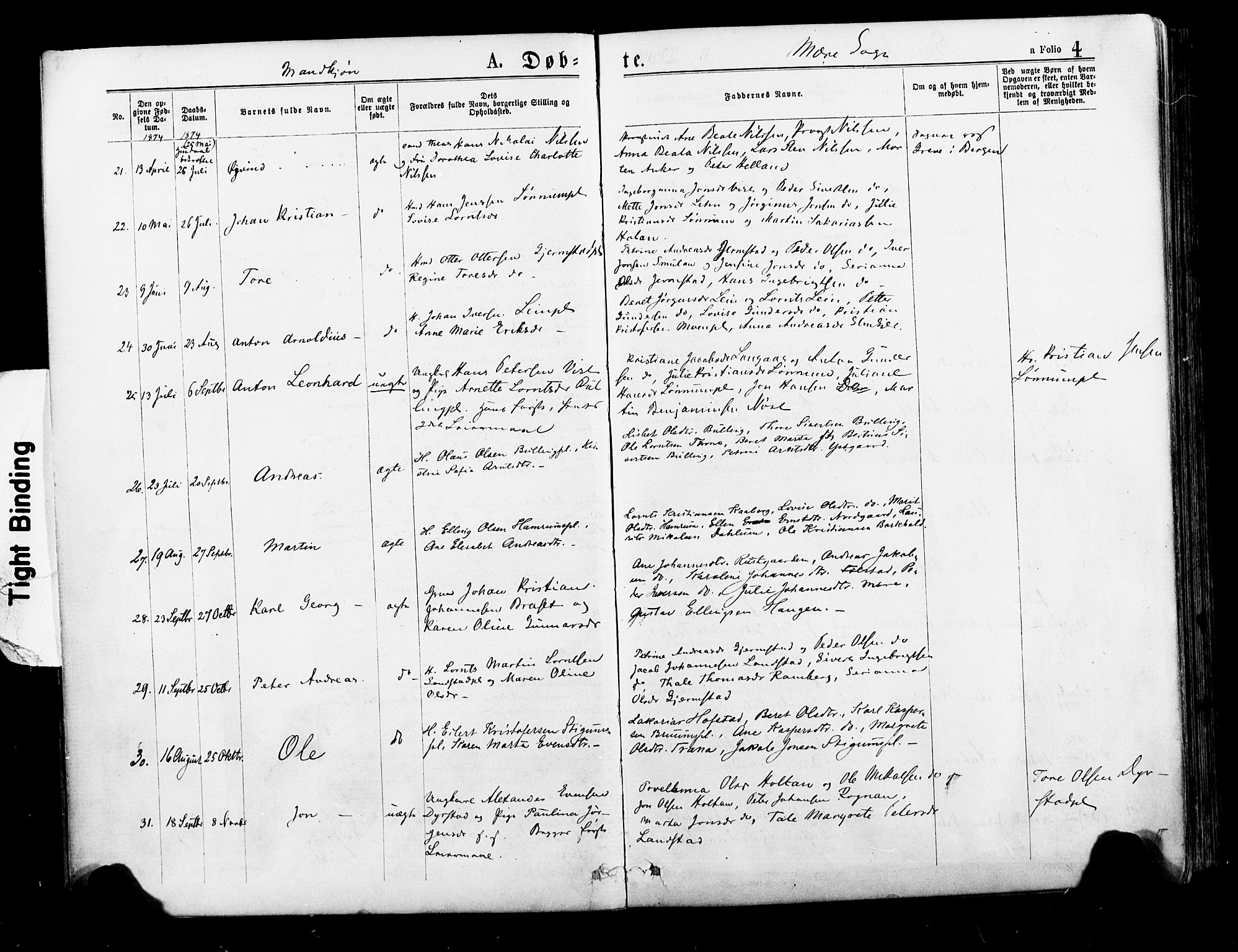 Ministerialprotokoller, klokkerbøker og fødselsregistre - Nord-Trøndelag, SAT/A-1458/735/L0348: Parish register (official) no. 735A09 /1, 1873-1883, p. 4