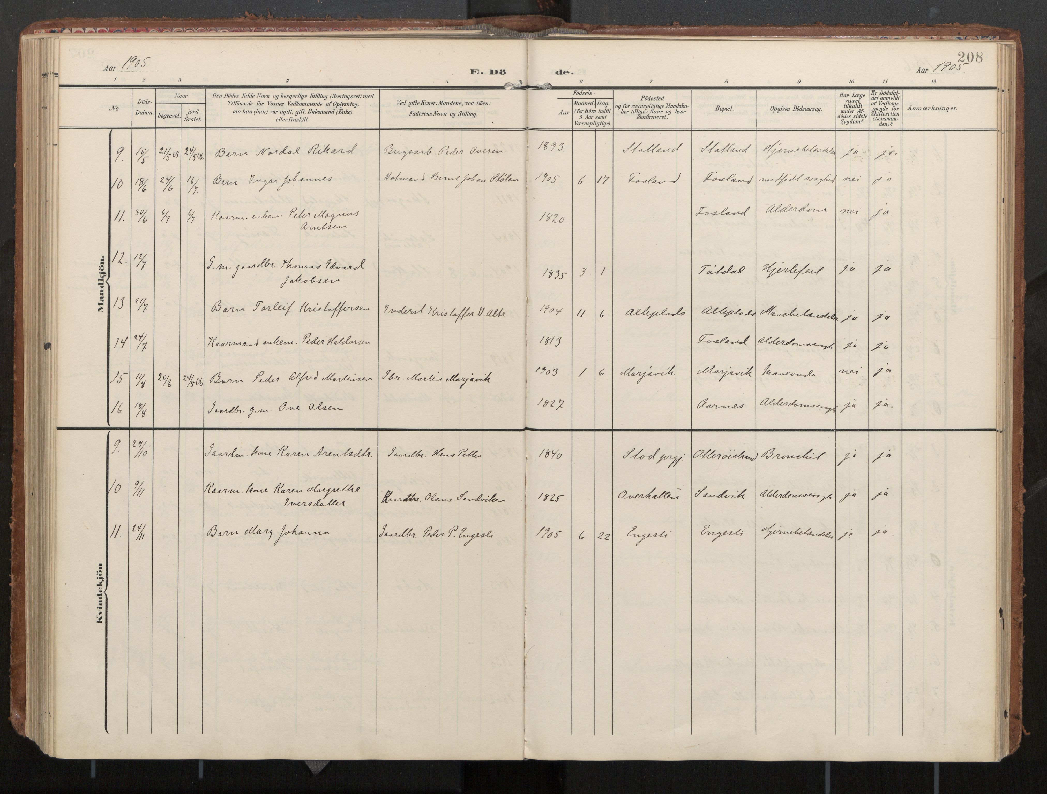 Ministerialprotokoller, klokkerbøker og fødselsregistre - Nord-Trøndelag, AV/SAT-A-1458/774/L0629: Parish register (official), 1904-1926, p. 208