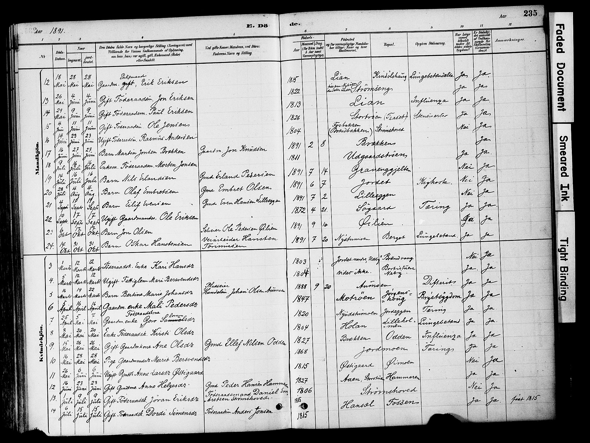 Tynset prestekontor, AV/SAH-PREST-058/H/Ha/Haa/L0022: Parish register (official) no. 22, 1880-1899, p. 235