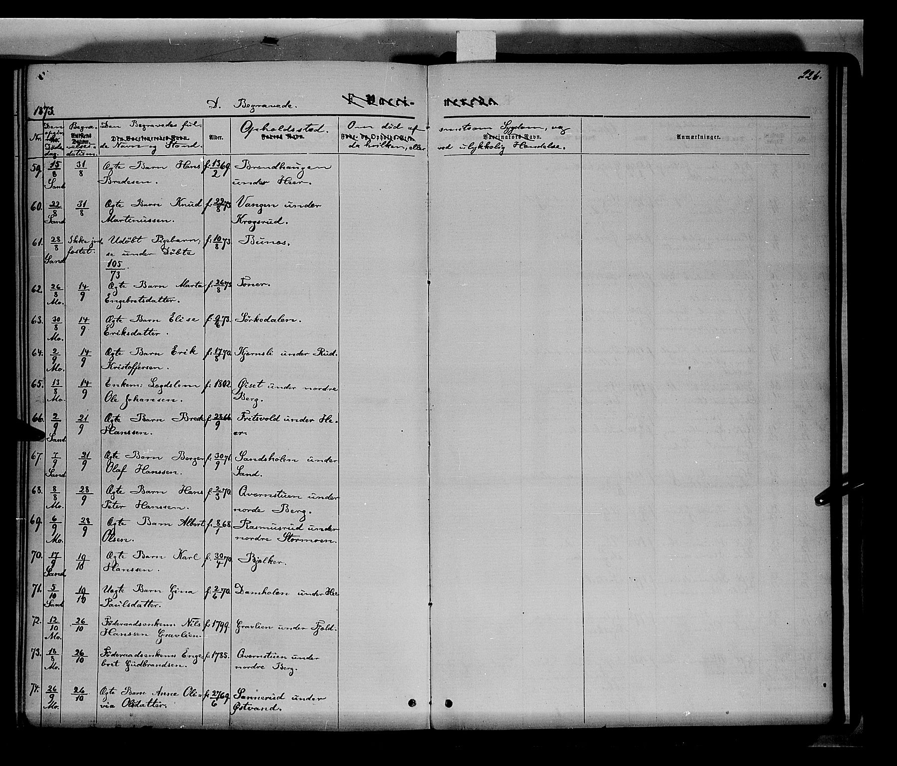 Nord-Odal prestekontor, AV/SAH-PREST-032/H/Ha/Haa/L0004: Parish register (official) no. 4, 1866-1873, p. 226