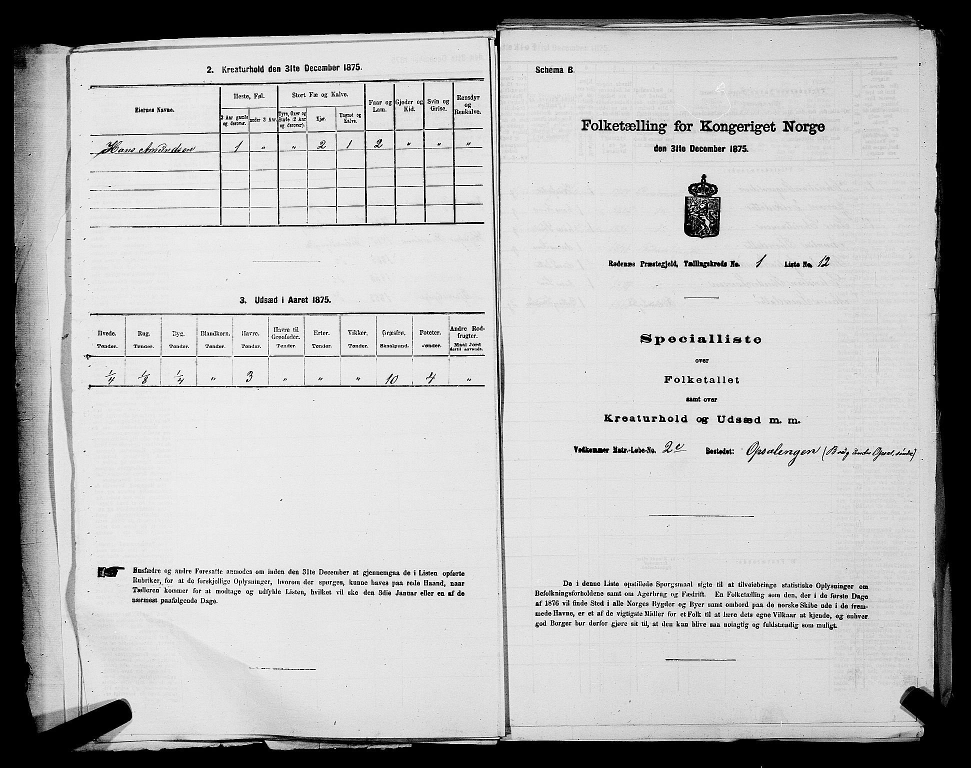 RA, 1875 census for 0120P Rødenes, 1875, p. 37