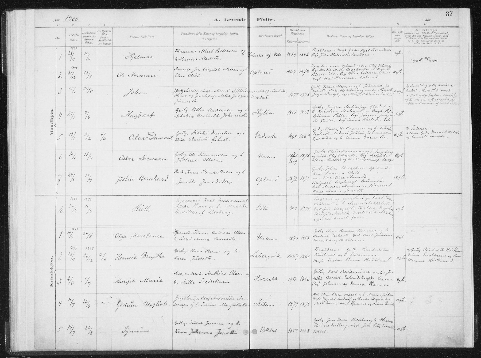 Ministerialprotokoller, klokkerbøker og fødselsregistre - Nord-Trøndelag, AV/SAT-A-1458/771/L0597: Parish register (official) no. 771A04, 1885-1910, p. 37