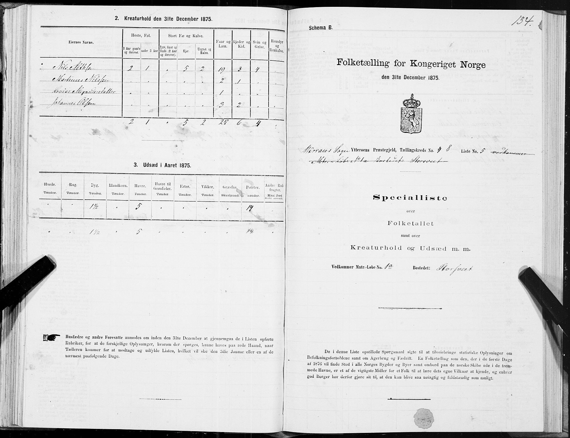 SAT, 1875 census for 1722P Ytterøy, 1875, p. 4134