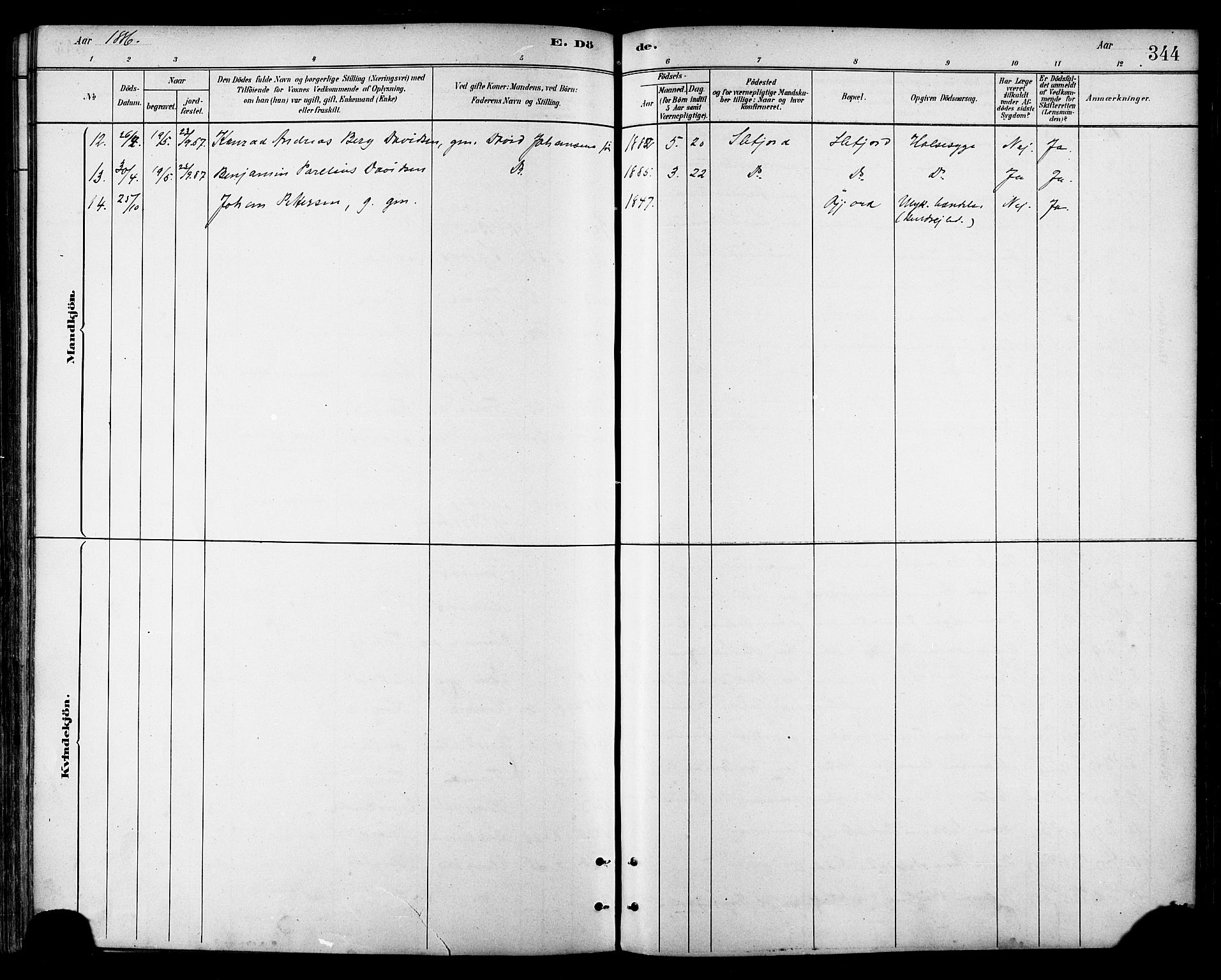 Ministerialprotokoller, klokkerbøker og fødselsregistre - Nordland, AV/SAT-A-1459/866/L0938: Parish register (official) no. 866A01, 1879-1893, p. 344