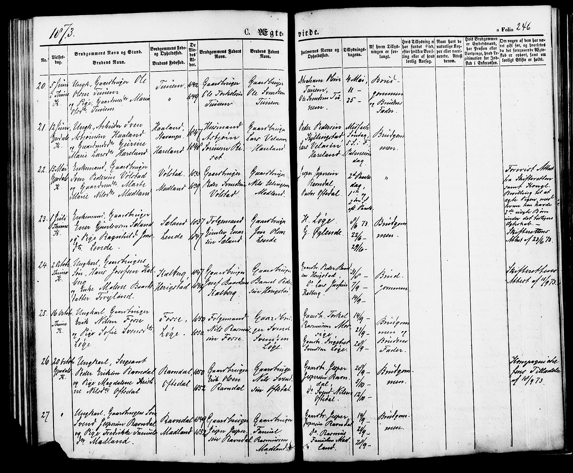 Lye sokneprestkontor, AV/SAST-A-101794/001/30BA/L0008: Parish register (official) no. A 7, 1872-1881, p. 246