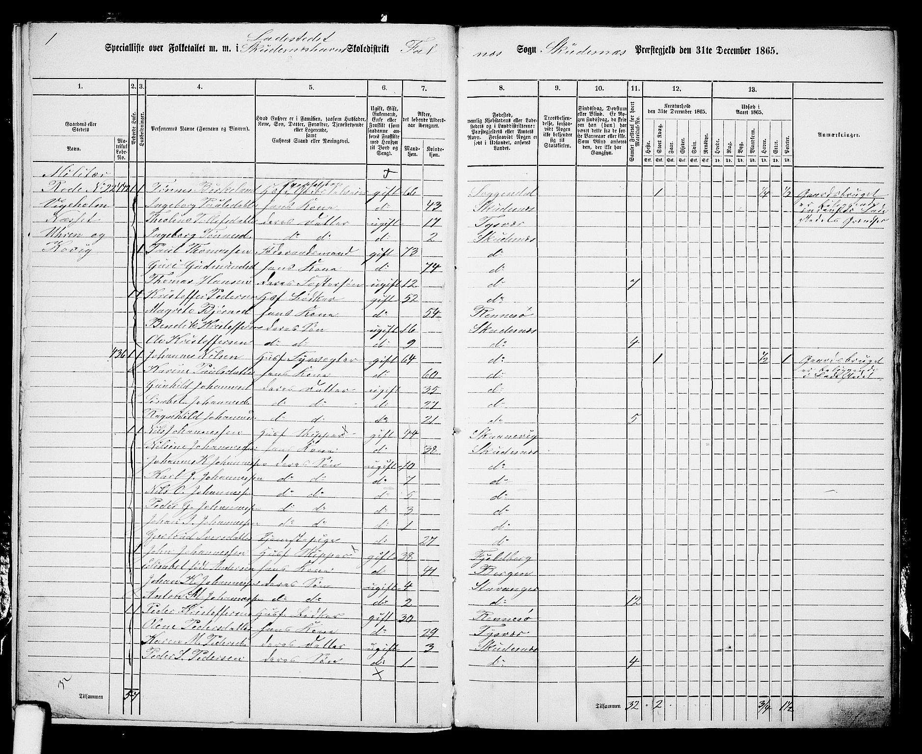 RA, 1865 census for Skudenes, 1865, p. 212