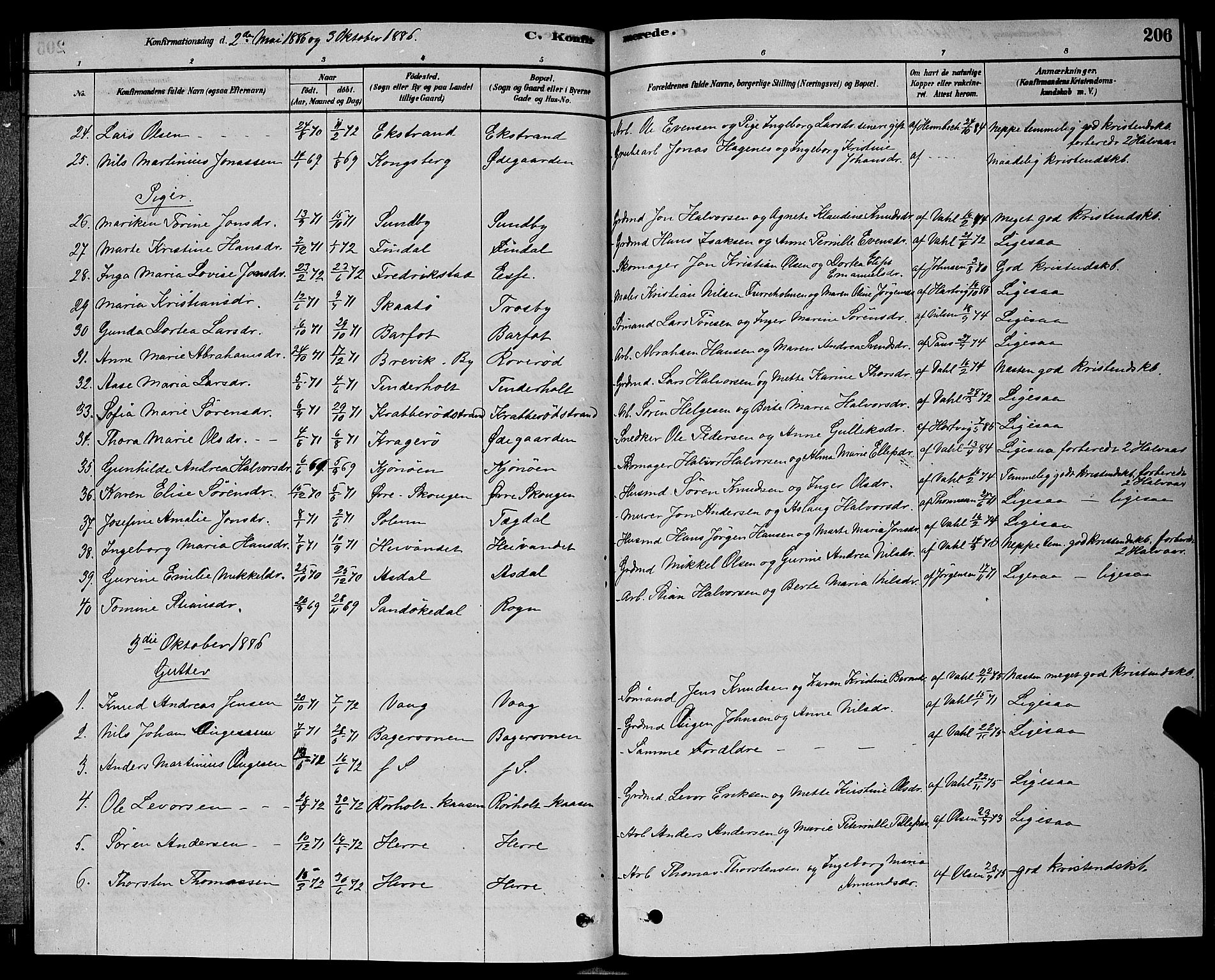 Bamble kirkebøker, AV/SAKO-A-253/G/Ga/L0008: Parish register (copy) no. I 8, 1878-1888, p. 206