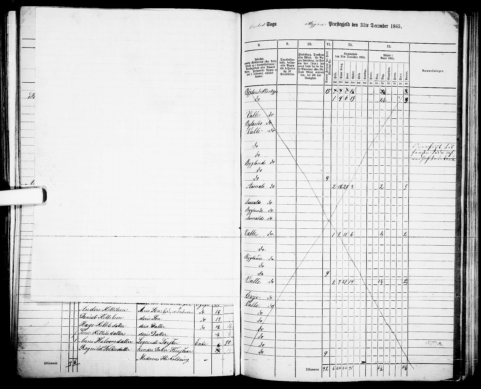 RA, 1865 census for Bygland, 1865, p. 18