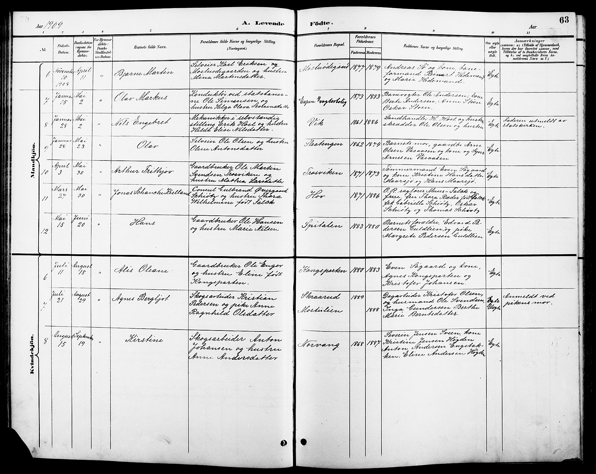 Stange prestekontor, AV/SAH-PREST-002/L/L0011: Parish register (copy) no. 11, 1895-1917, p. 63