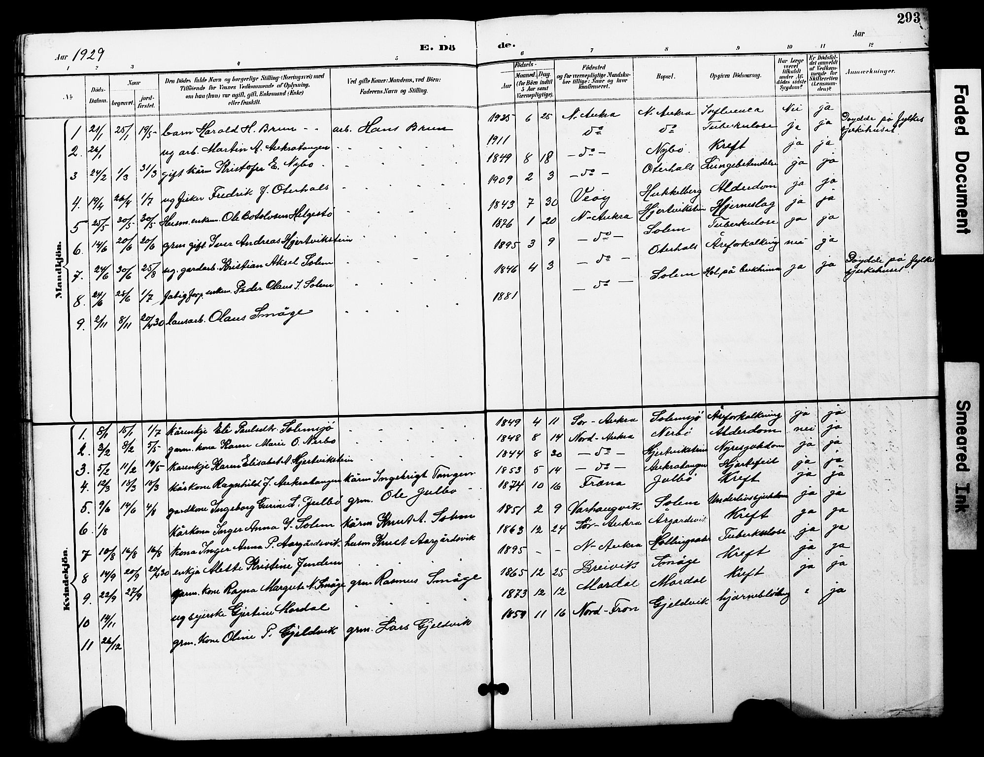 Ministerialprotokoller, klokkerbøker og fødselsregistre - Møre og Romsdal, SAT/A-1454/560/L0725: Parish register (copy) no. 560C02, 1895-1930, p. 293