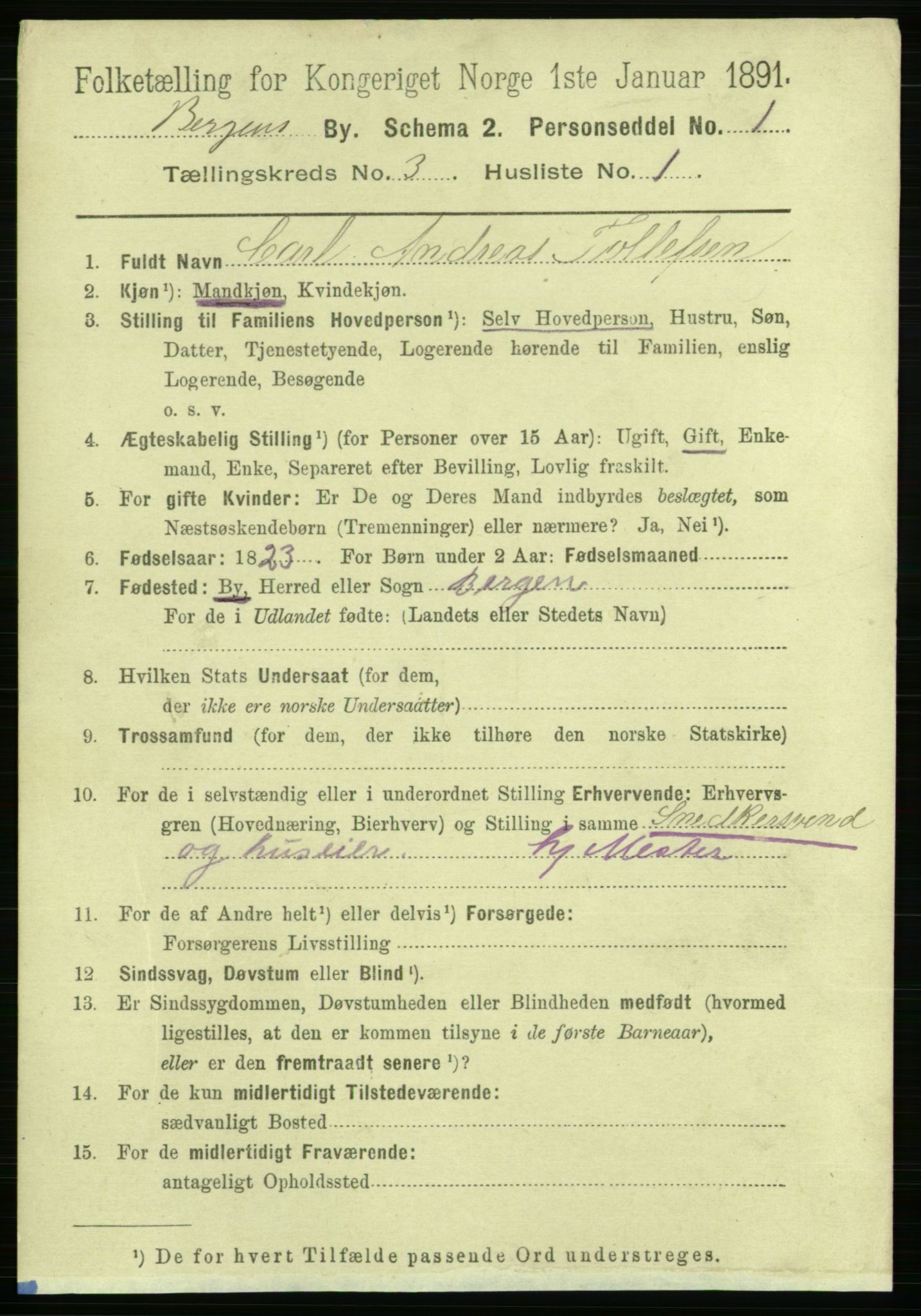 RA, 1891 Census for 1301 Bergen, 1891, p. 11300