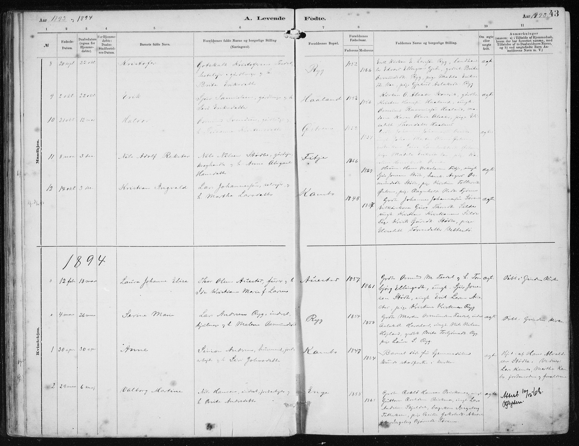 Etne sokneprestembete, SAB/A-75001/H/Haa: Parish register (official) no. B  1, 1879-1919, p. 43
