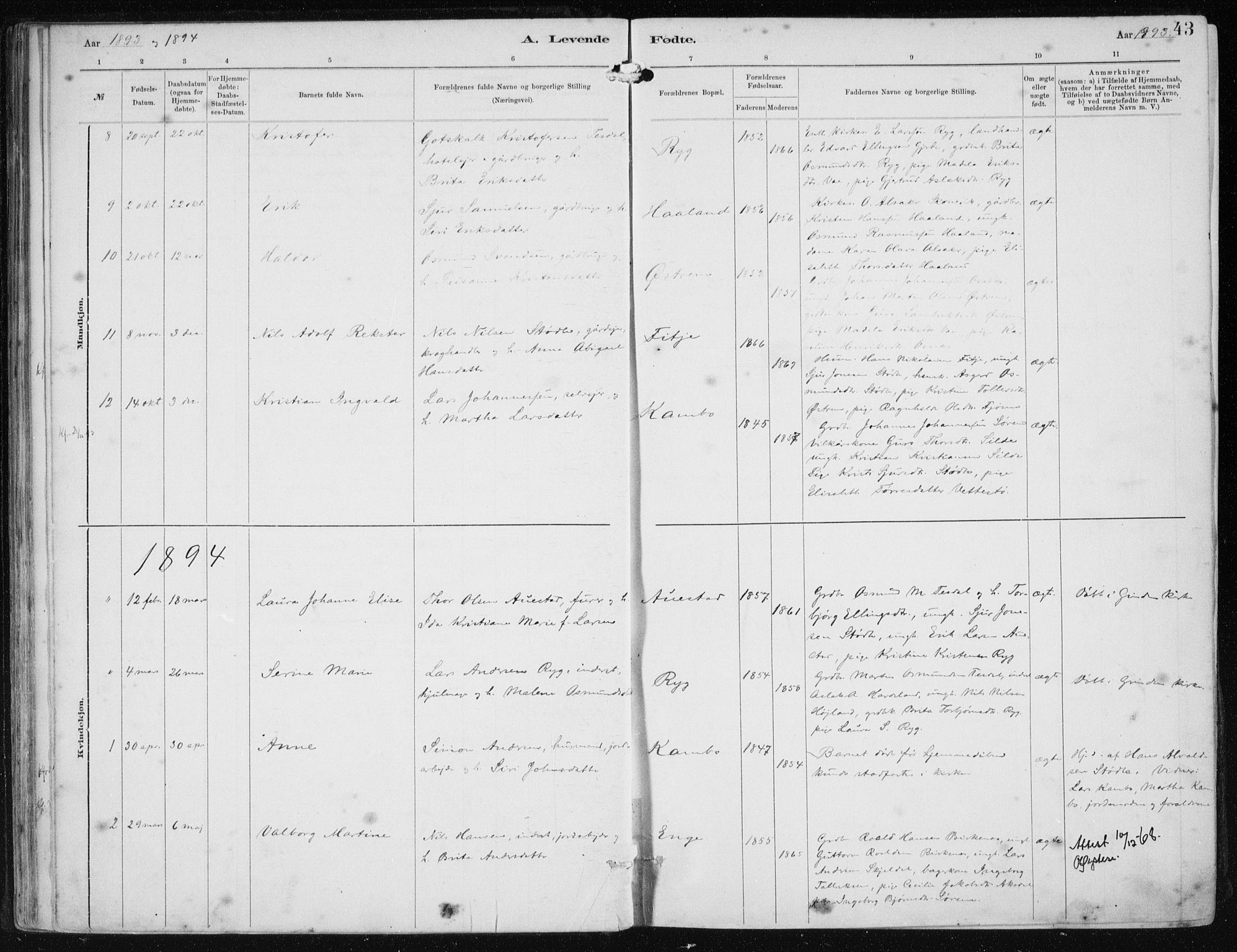 Etne sokneprestembete, AV/SAB-A-75001/H/Haa: Parish register (official) no. B  1, 1879-1919, p. 43