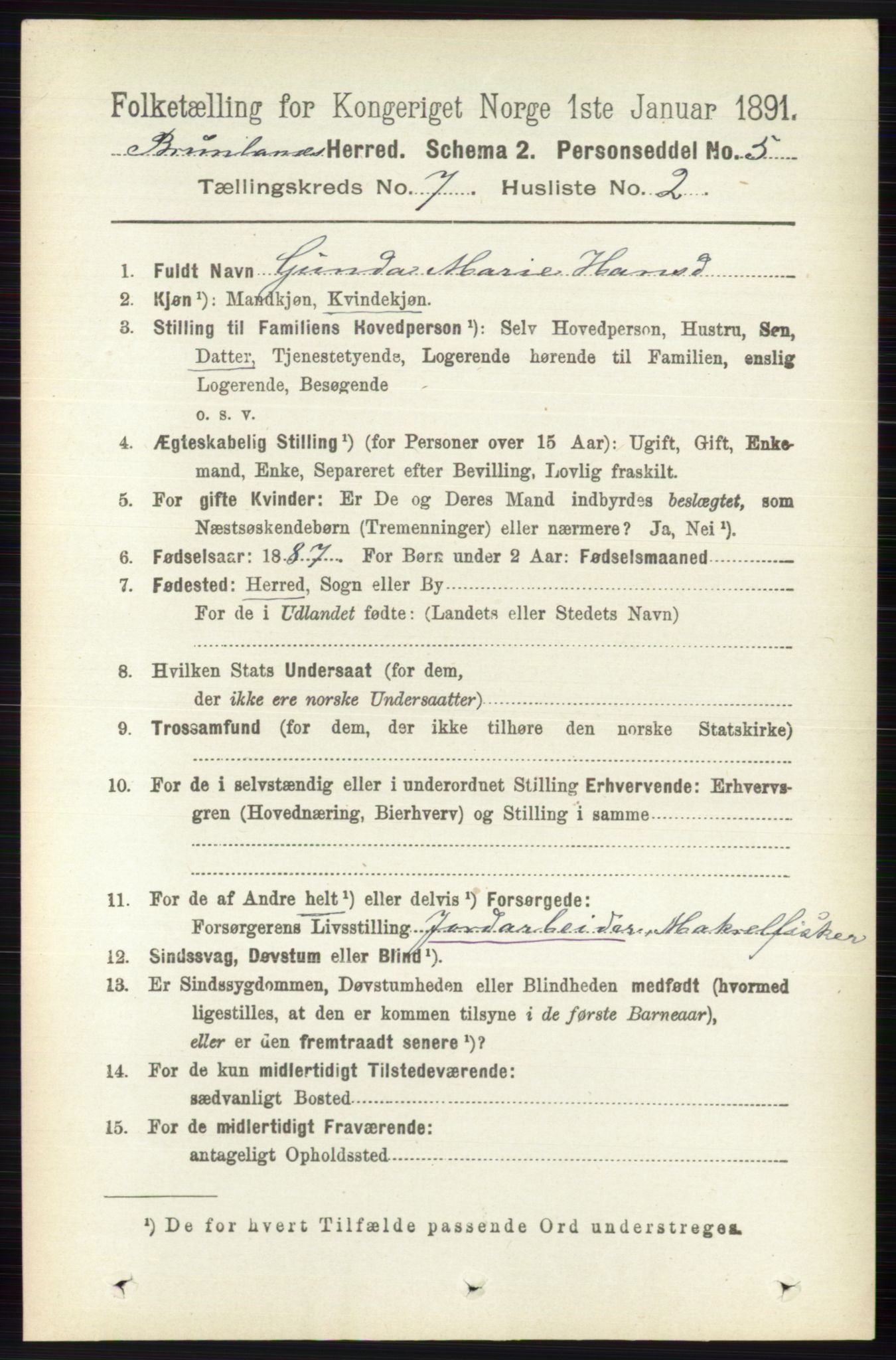 RA, 1891 census for 0726 Brunlanes, 1891, p. 2994