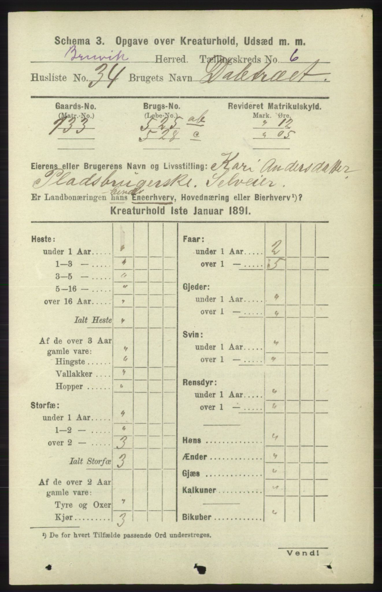 RA, 1891 census for 1251 Bruvik, 1891, p. 4624