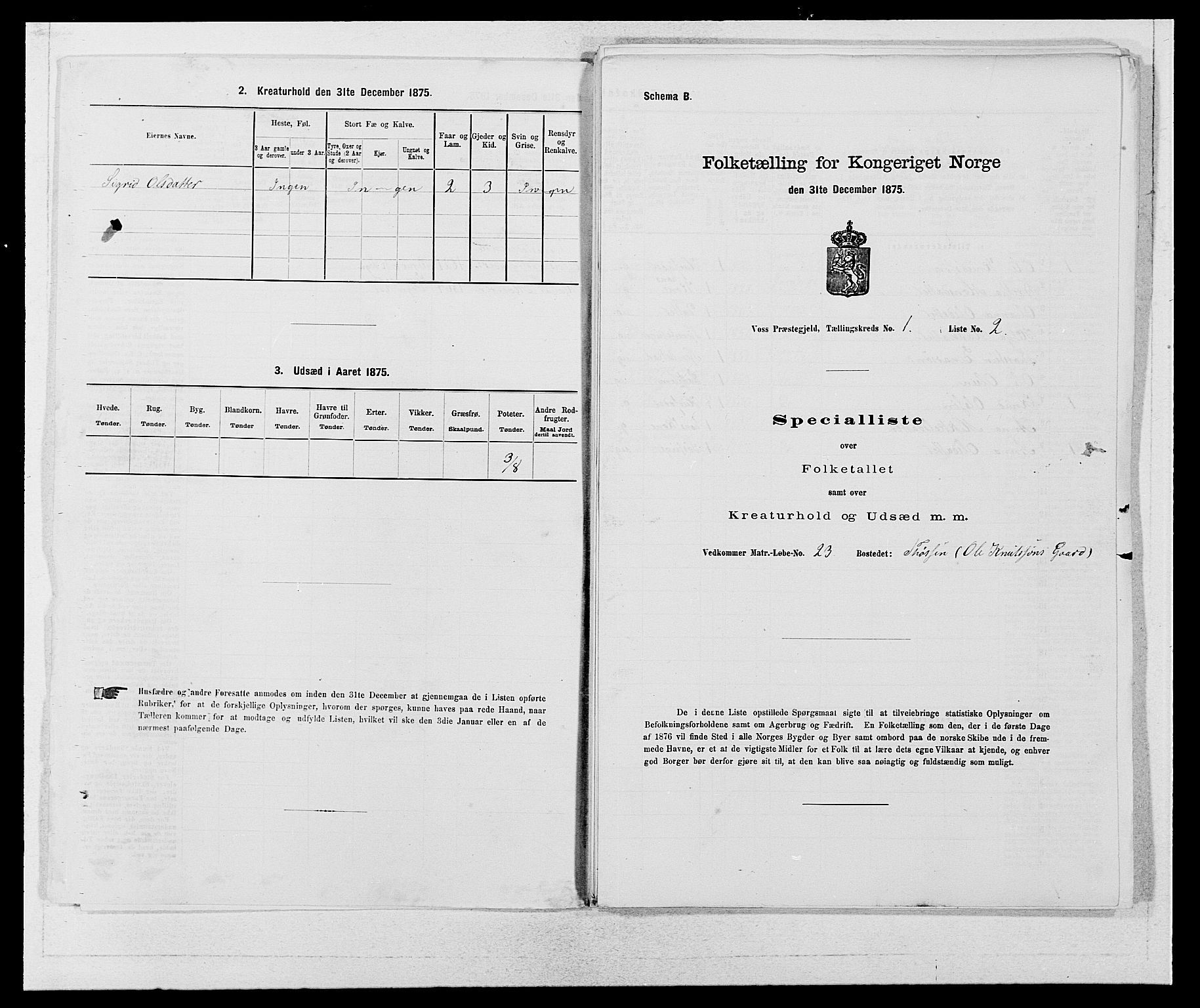 SAB, 1875 census for 1235P Voss, 1875, p. 1708