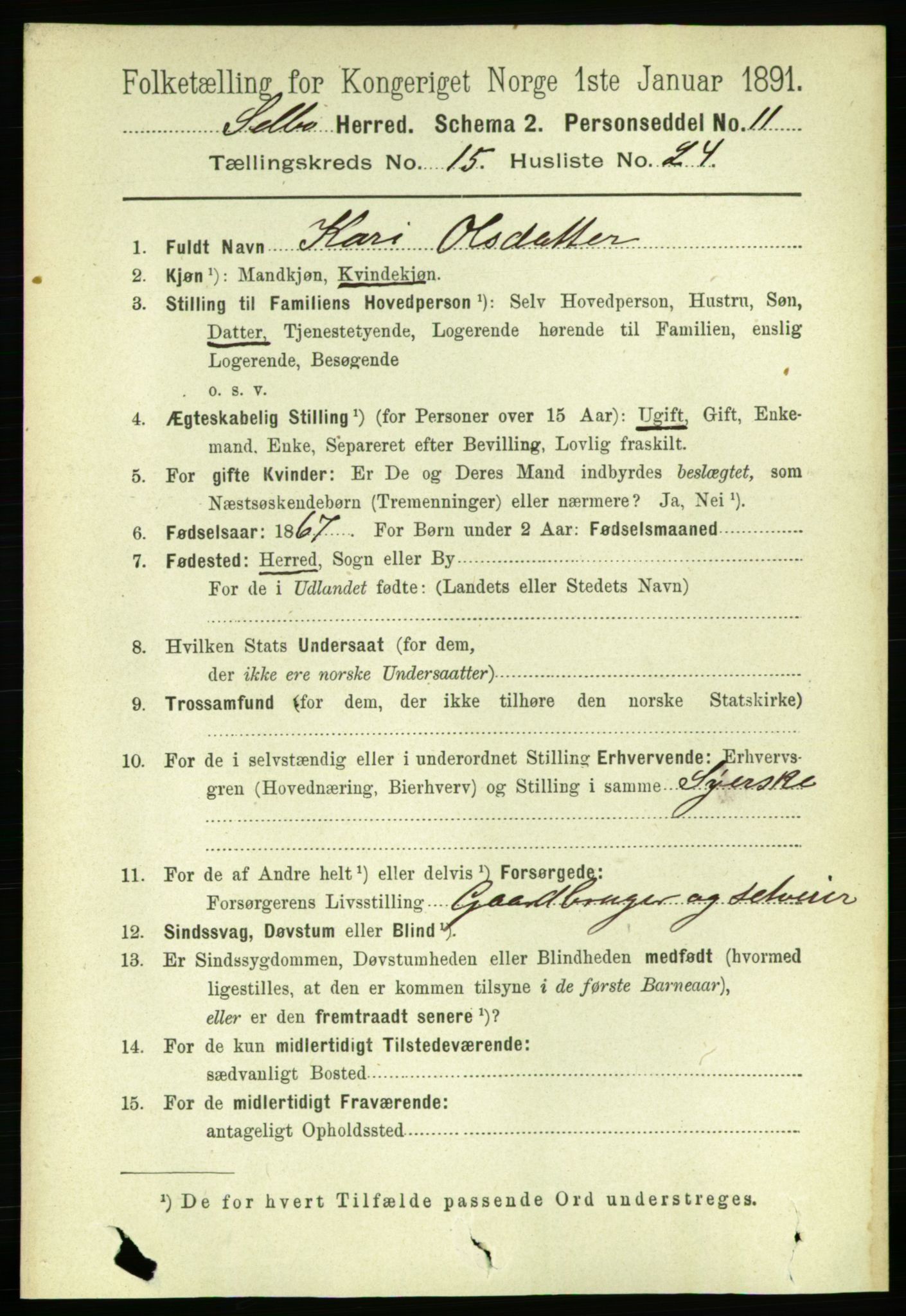 RA, 1891 census for 1664 Selbu, 1891, p. 5683