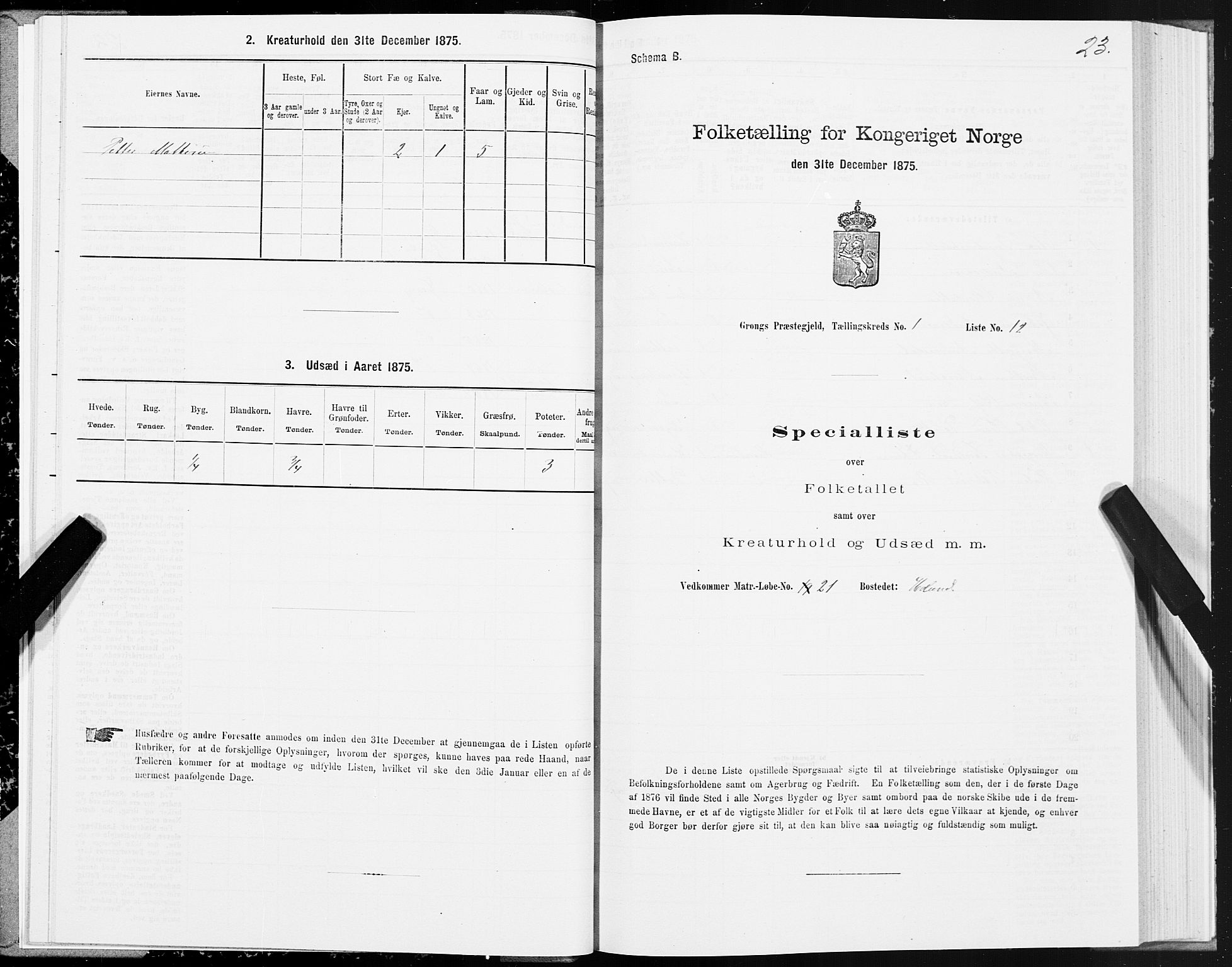 SAT, 1875 census for 1742P Grong, 1875, p. 1023