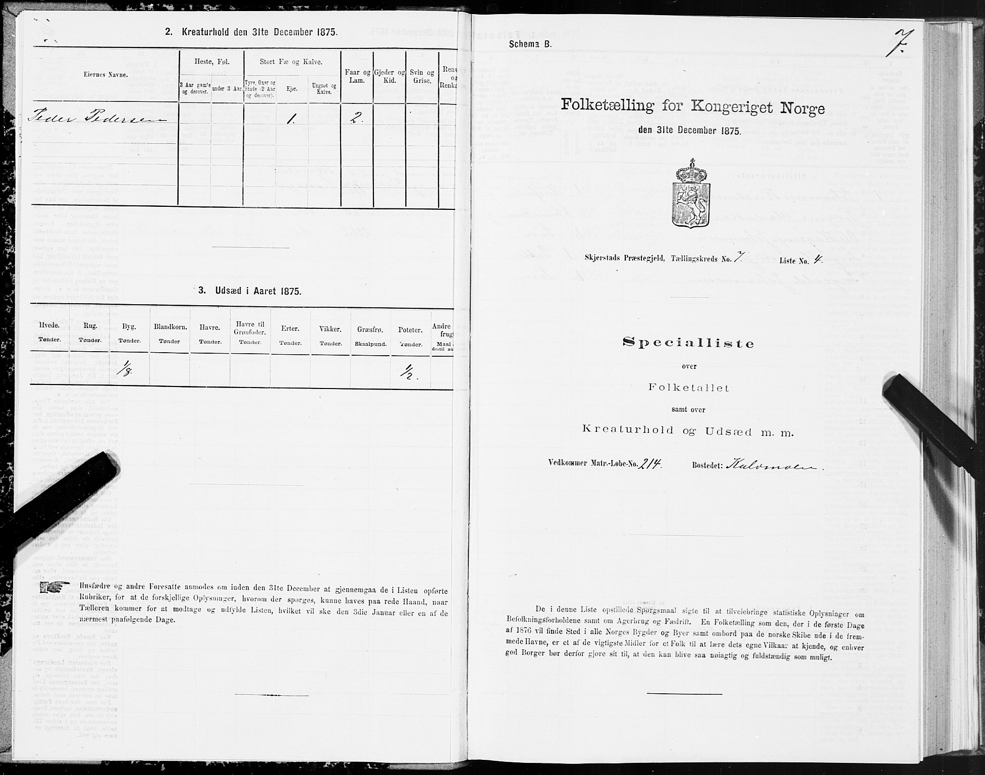 SAT, 1875 census for 1842P Skjerstad, 1875, p. 4007