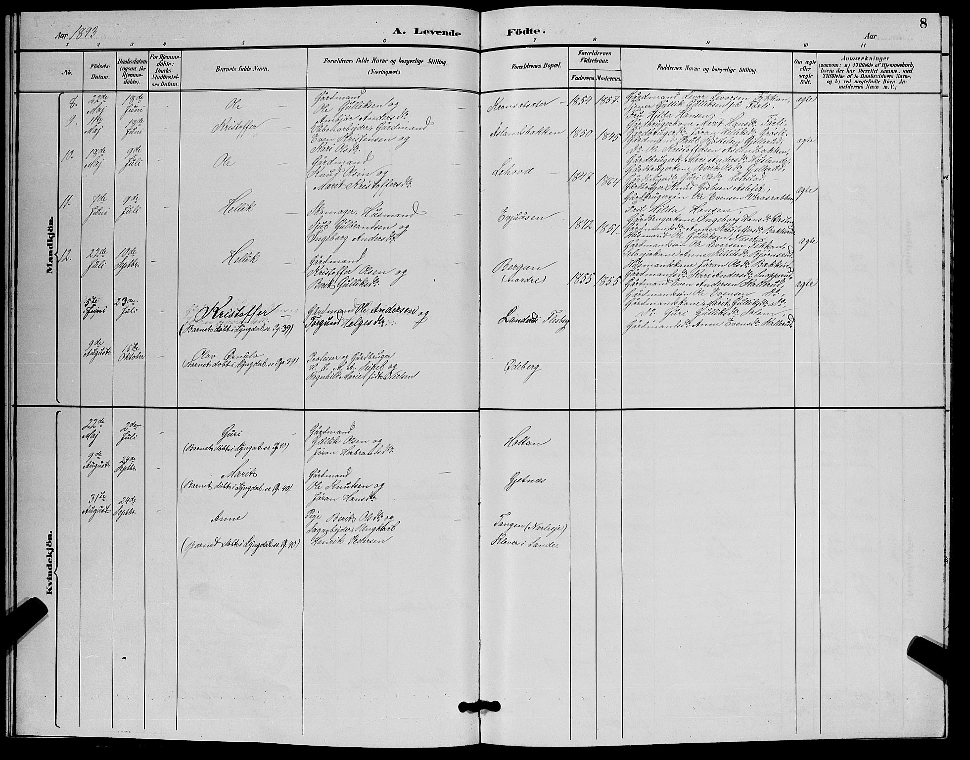 Flesberg kirkebøker, AV/SAKO-A-18/G/Ga/L0004: Parish register (copy) no. I 4 /1, 1890-1898, p. 8