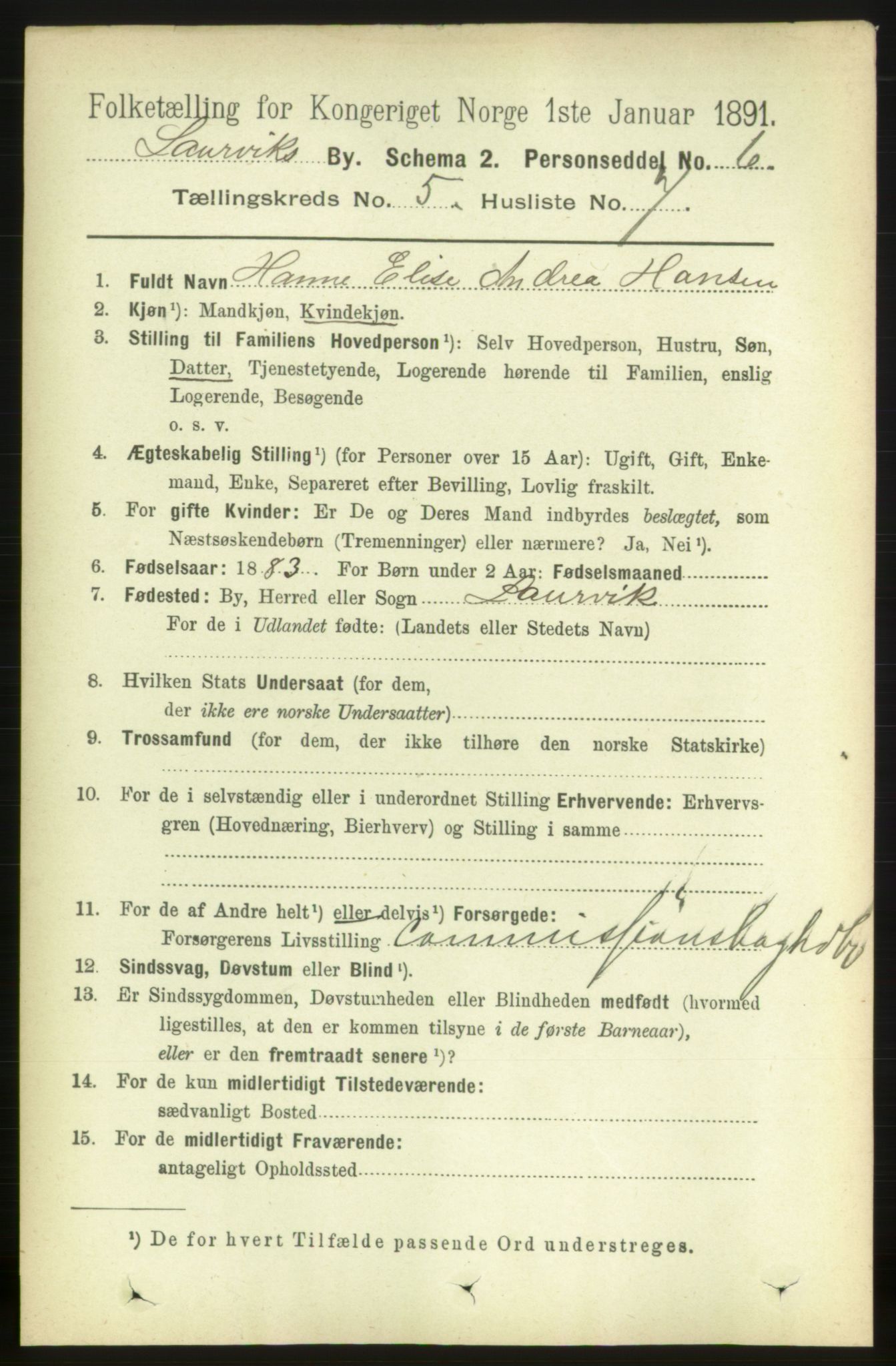 RA, 1891 census for 0707 Larvik, 1891, p. 6053