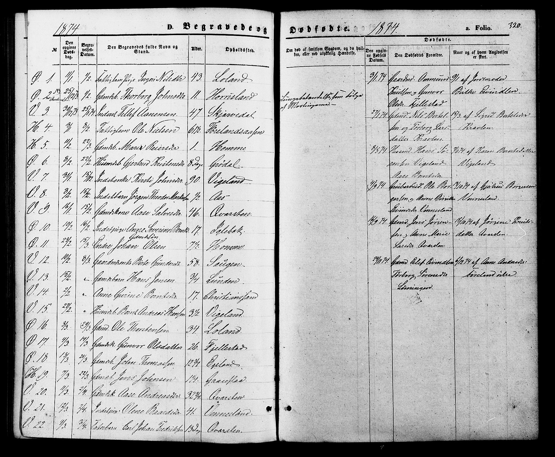 Vennesla sokneprestkontor, SAK/1111-0045/Fa/Fac/L0008: Parish register (official) no. A 8, 1874-1883, p. 320