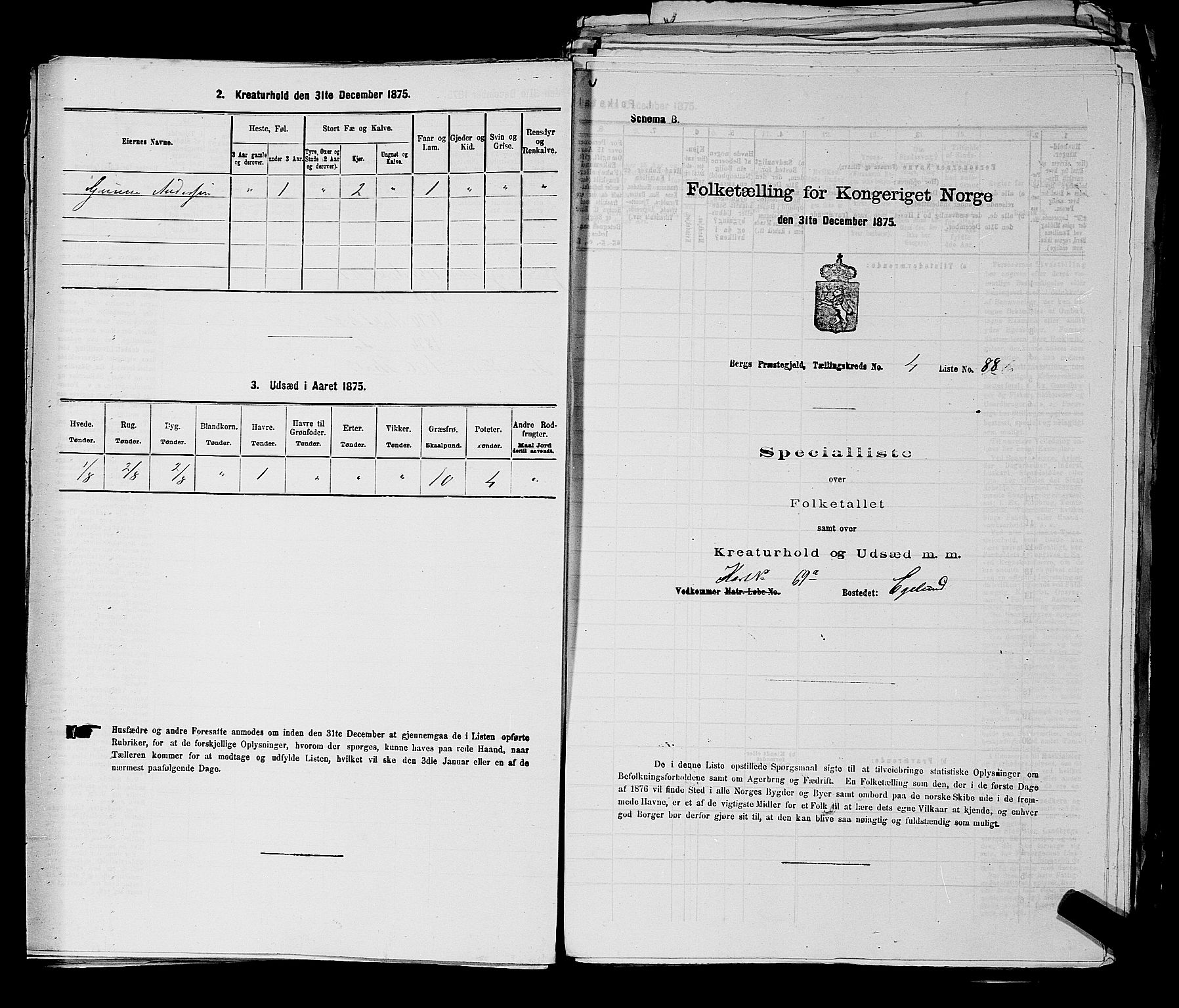 RA, 1875 census for 0116P Berg, 1875, p. 496